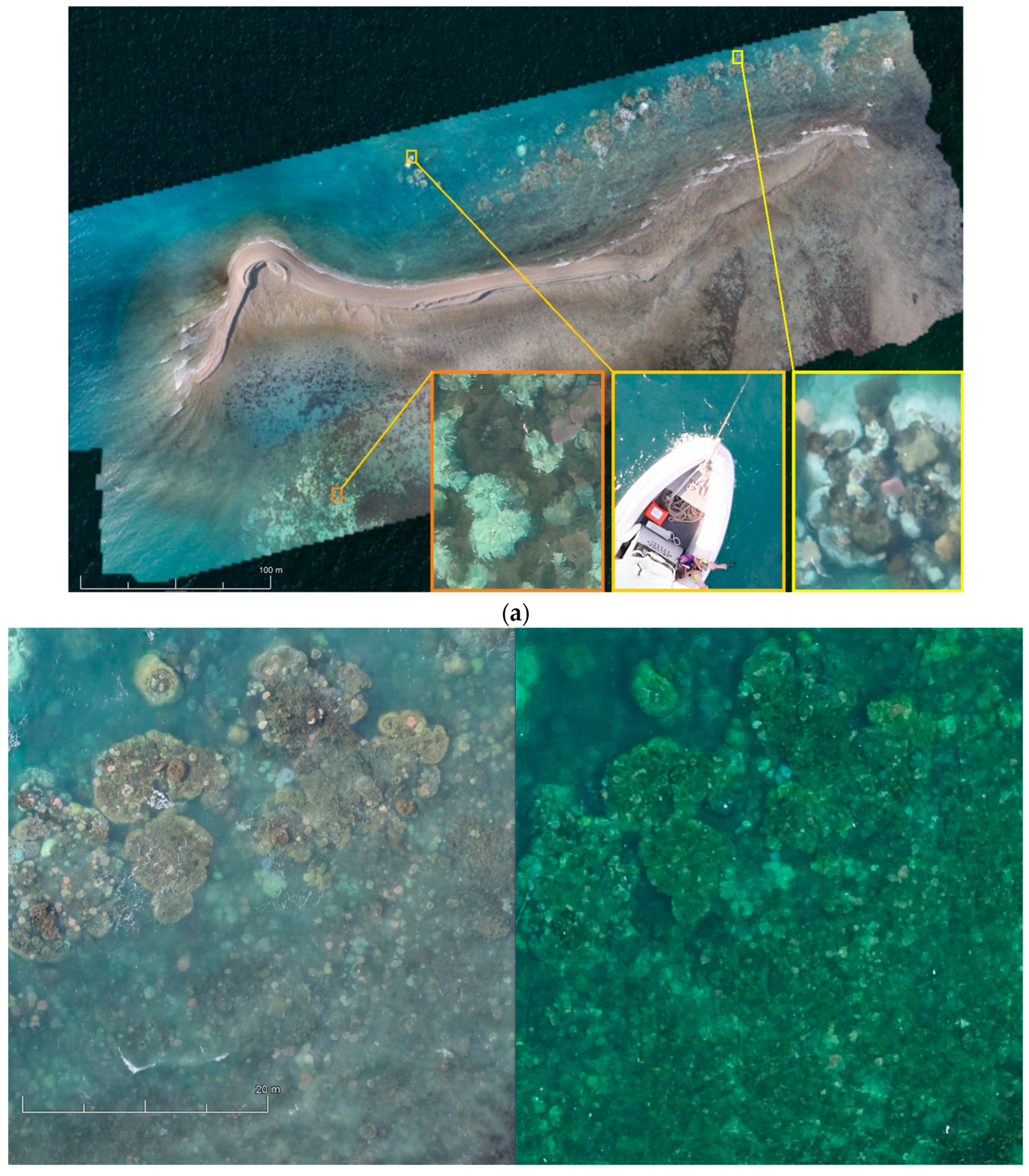 Sensors 18 02026 g015a