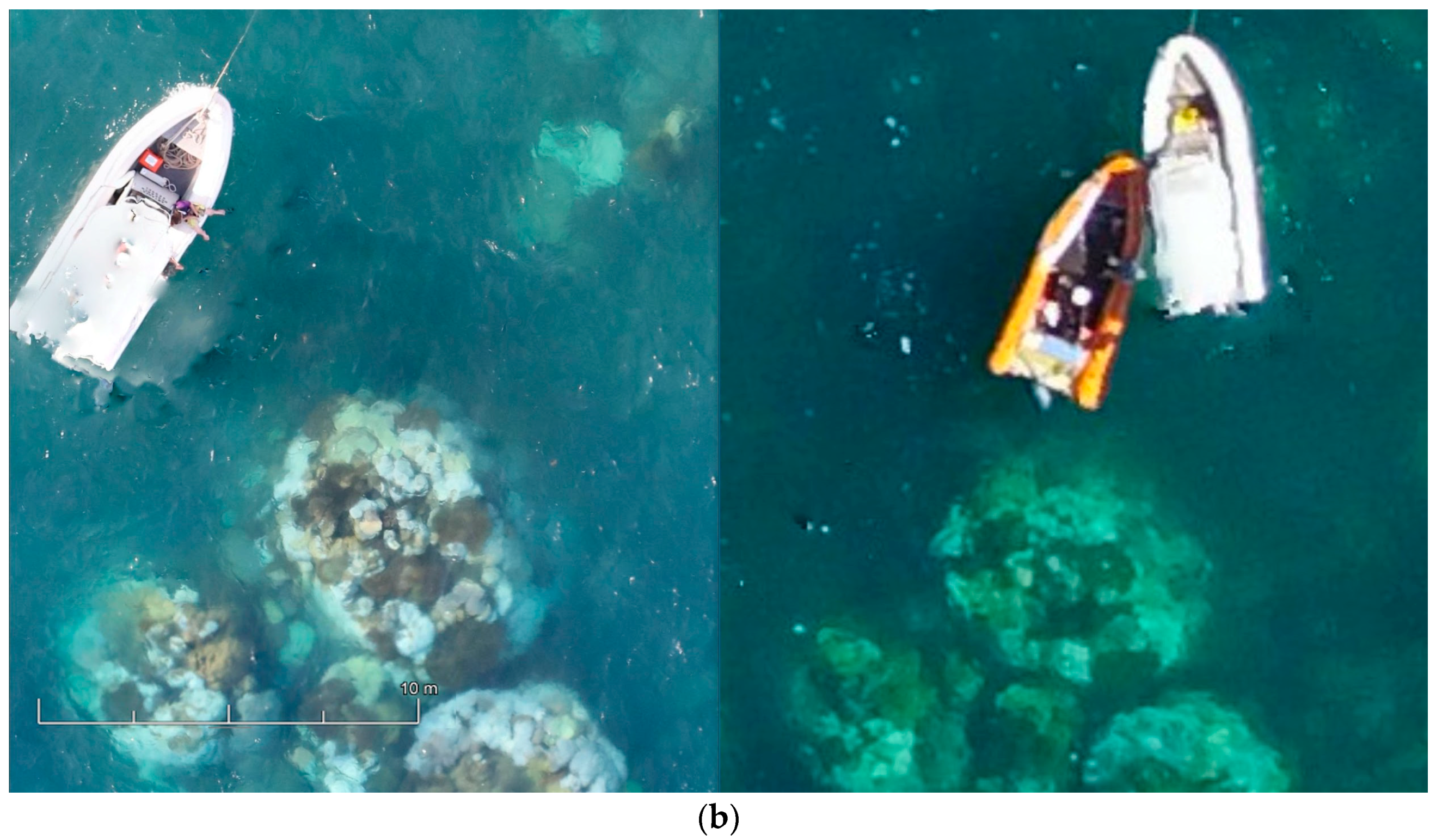 Sensors 18 02026 g015b