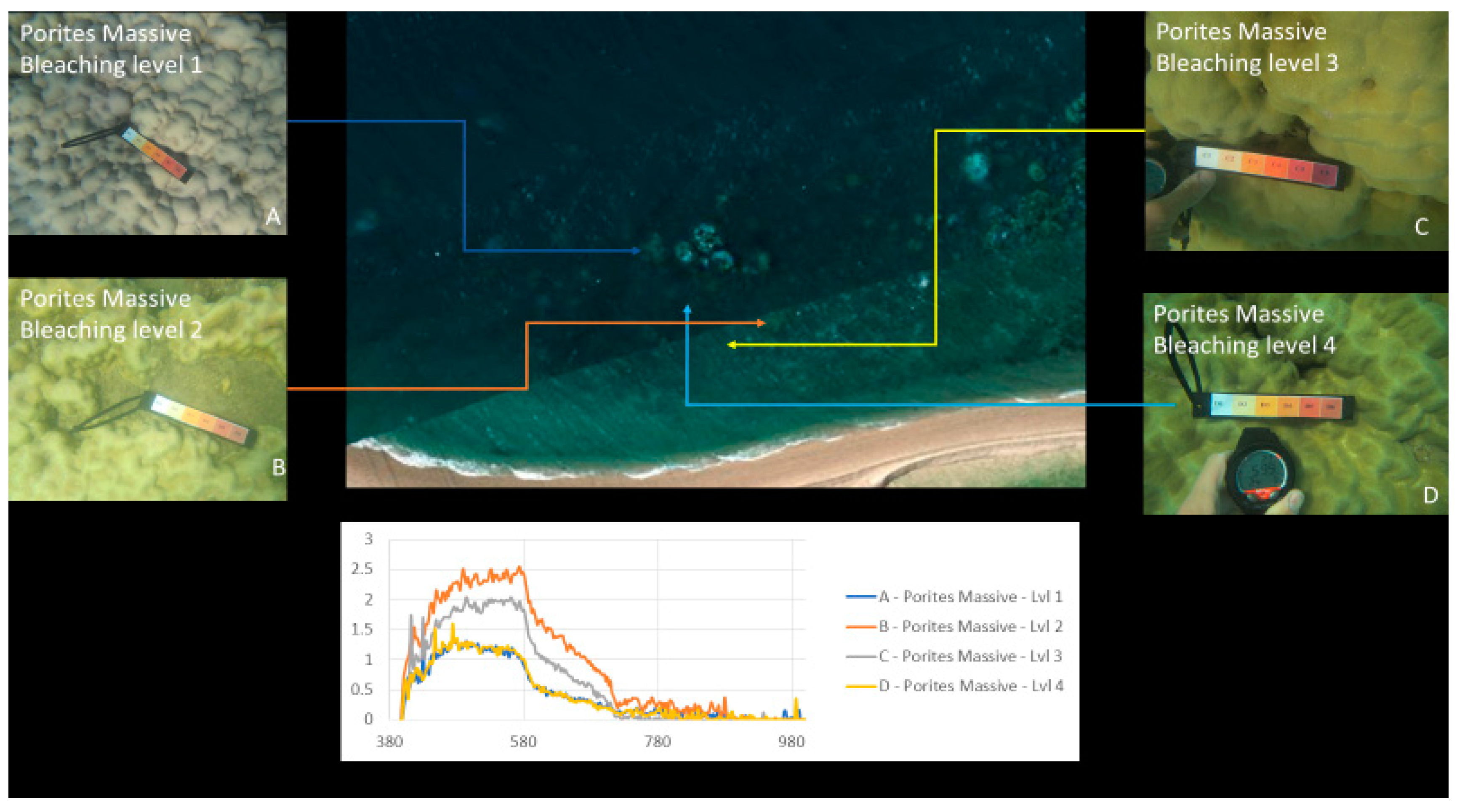 Sensors 18 02026 g017