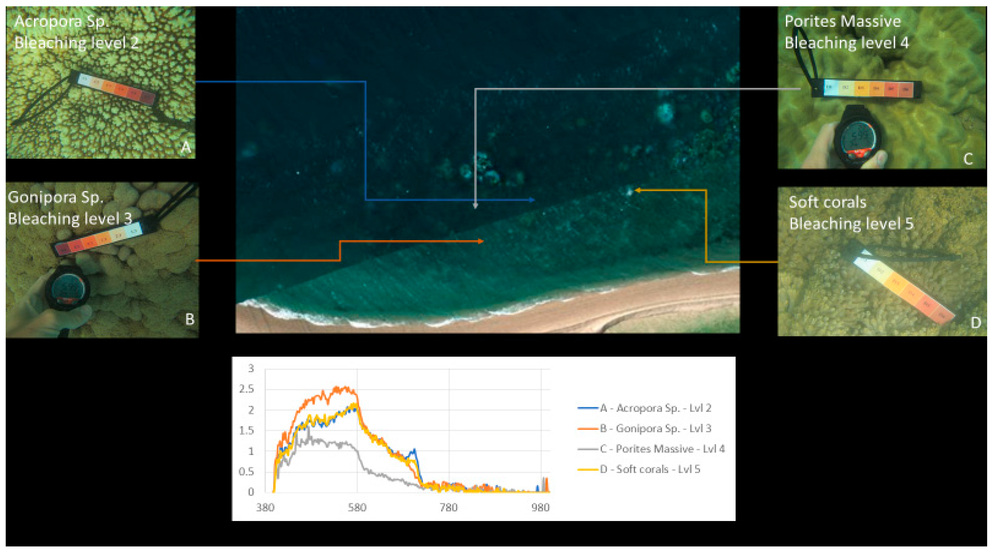 Sensors 18 02026 g018