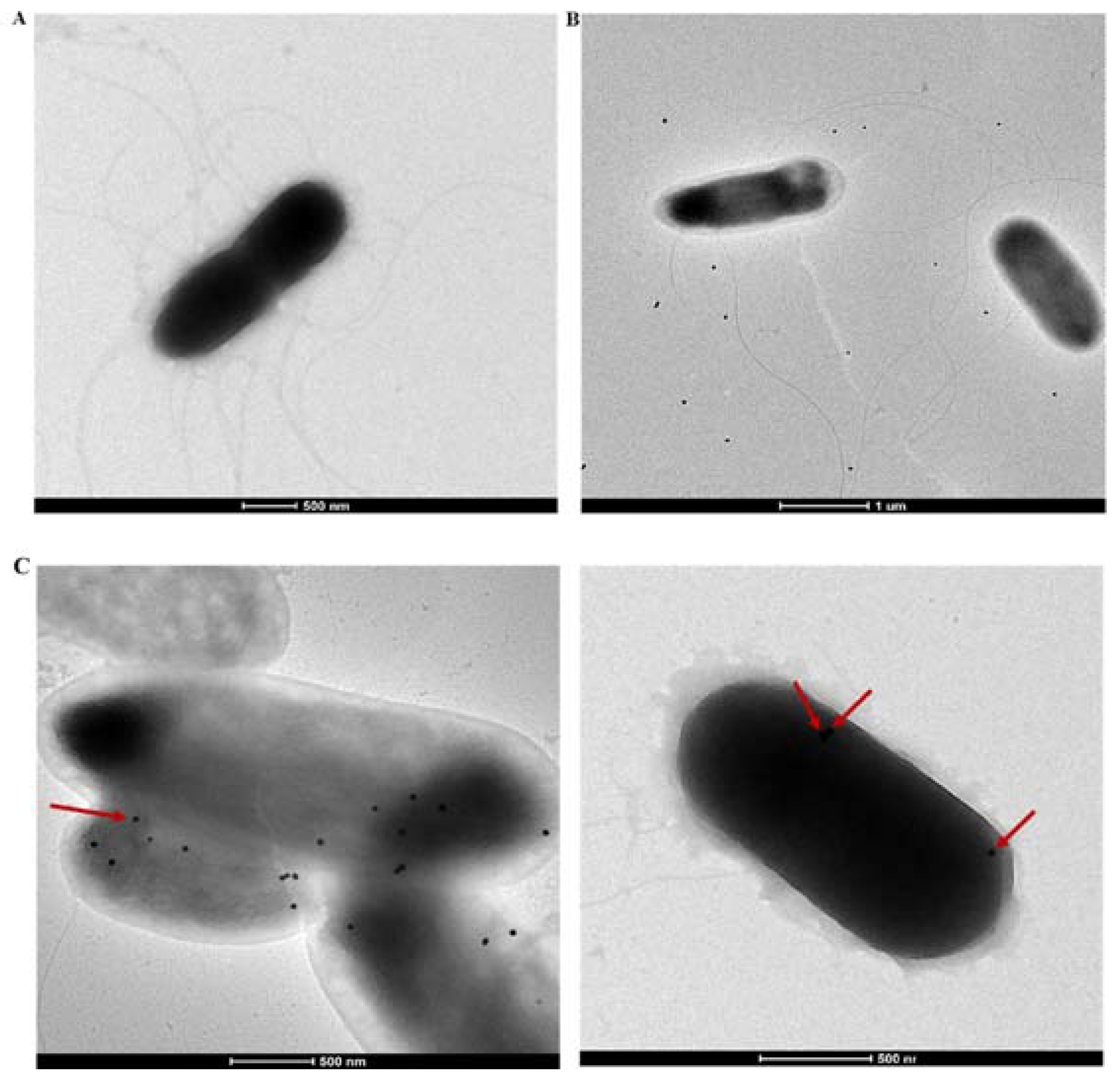 Sensors 18 02028 g005