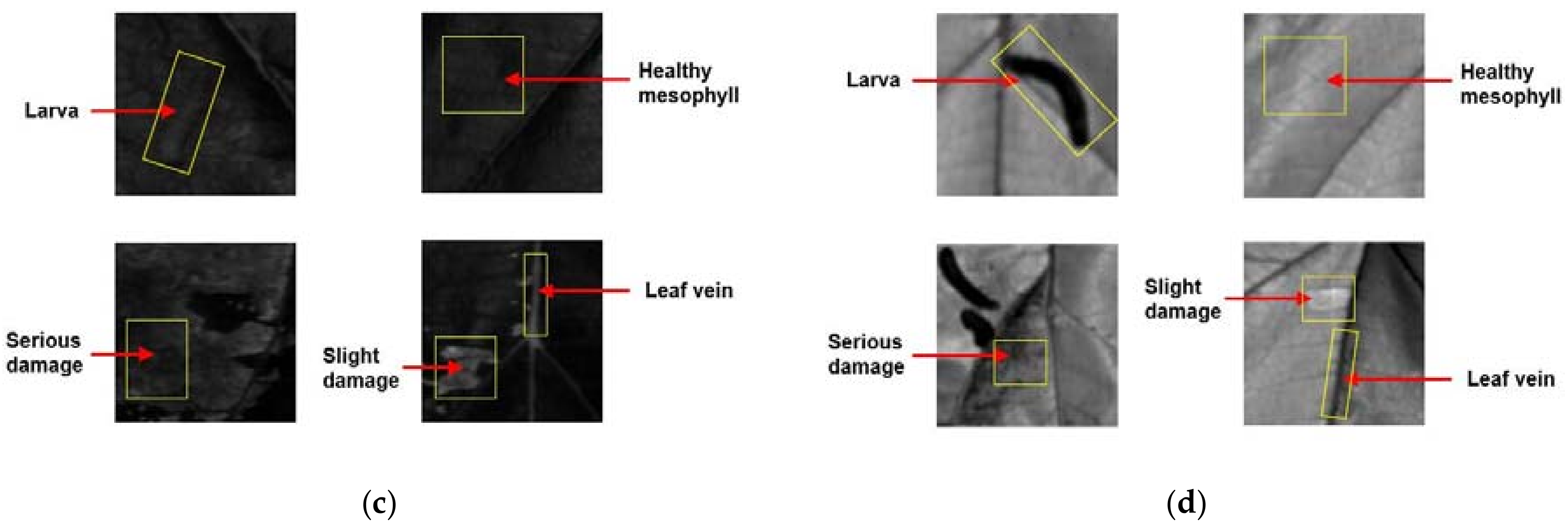 Sensors 18 02077 g001b