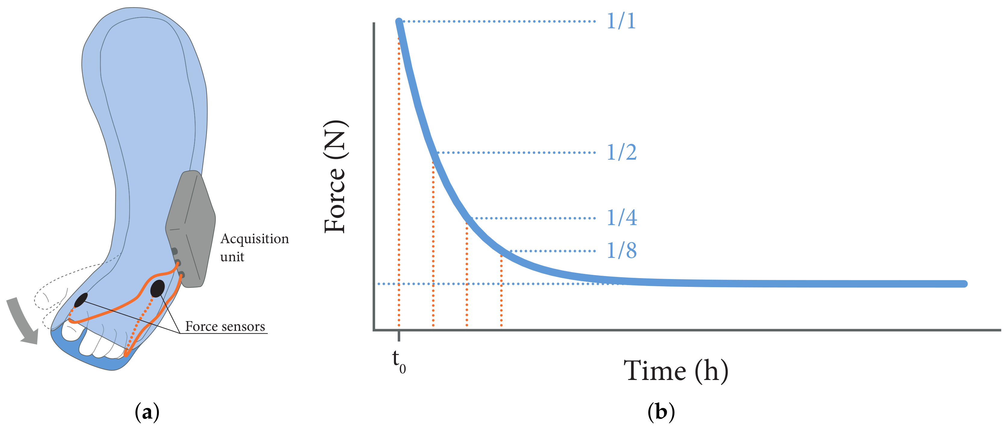 Sensors 18 02079 g001