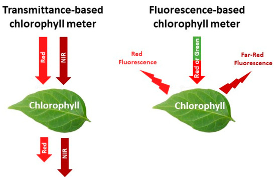Sensors | Free Full-Text | Proximal Optical Sensors for Nitrogen 