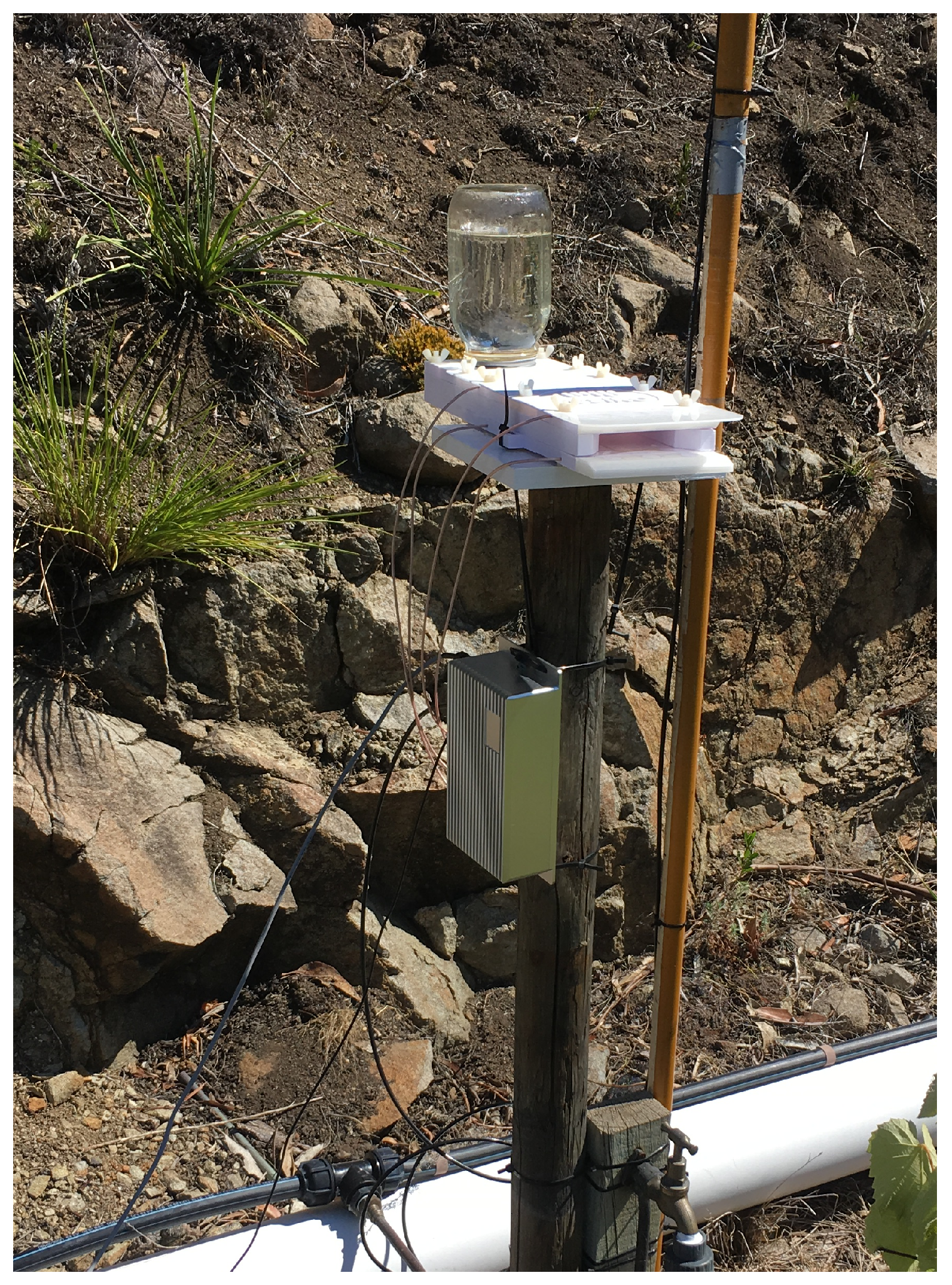 Sensors 18 02124 g005