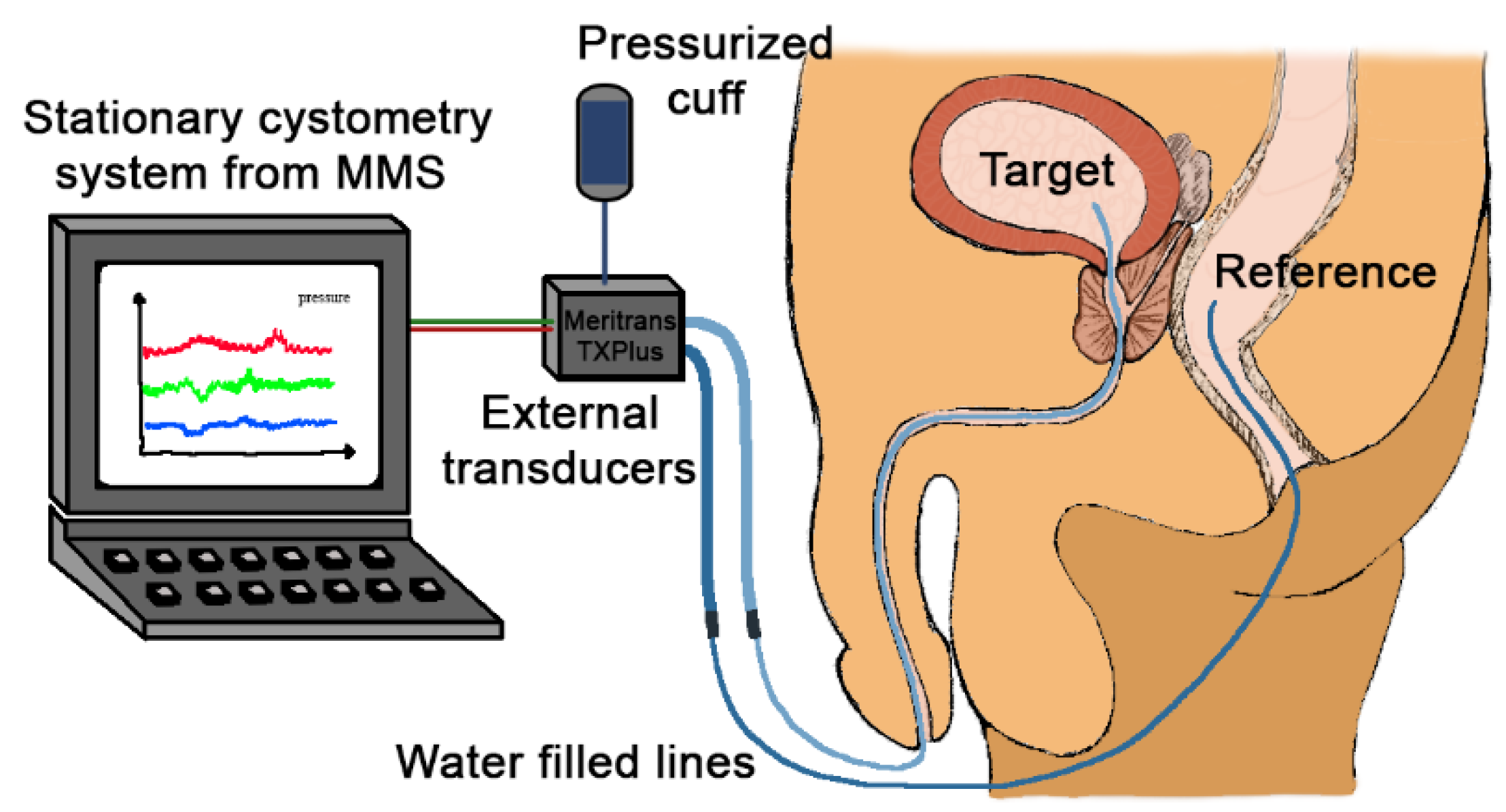 Virtual Reality Tools Applied to the Male Urinary System