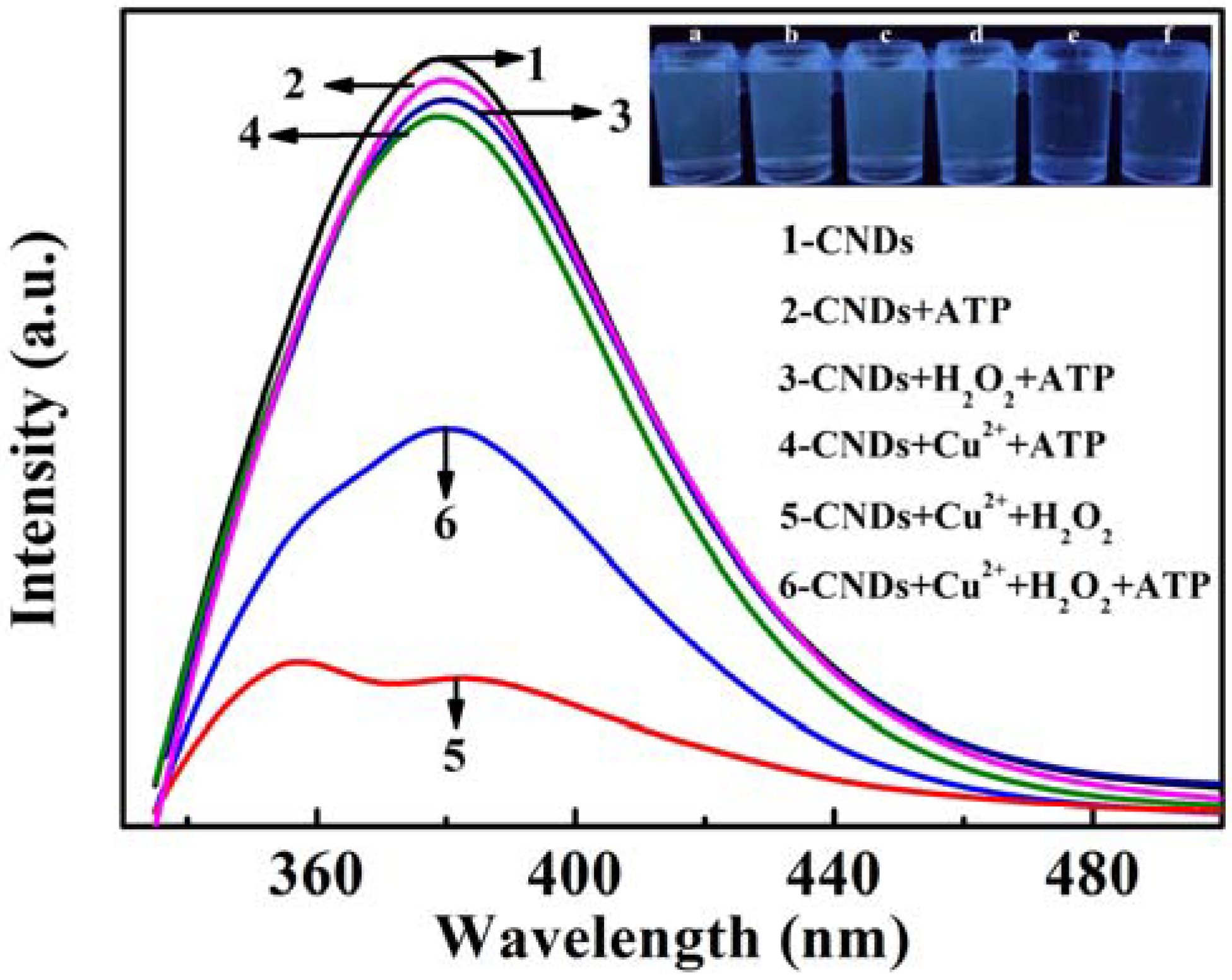 Sensors 18 02151 g003 Sensors 18 02151 g003