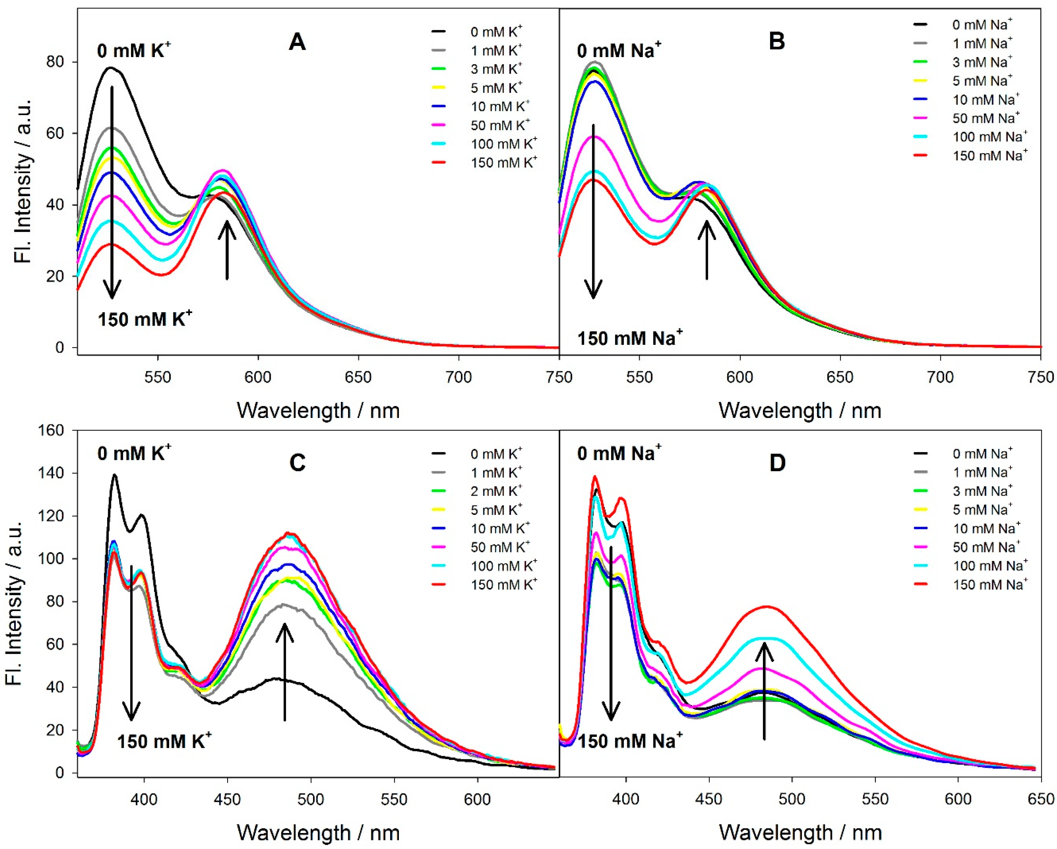 Sensors Free Full Text Cholesterol Bearing Fluorescent G Quadruplex Potassium Probes For Anchoring At The Langmuir Monolayer And Cell Membrane Html Sensors Free Full Text Cholesterol Bearing Fluorescent G Quadruplex Potassium Probes For Anchoring At The Langmuir Monolayer And Cell Membrane Html