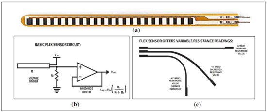 Sensors  Free Full-Text  A Review on Systems-Based Sensory 