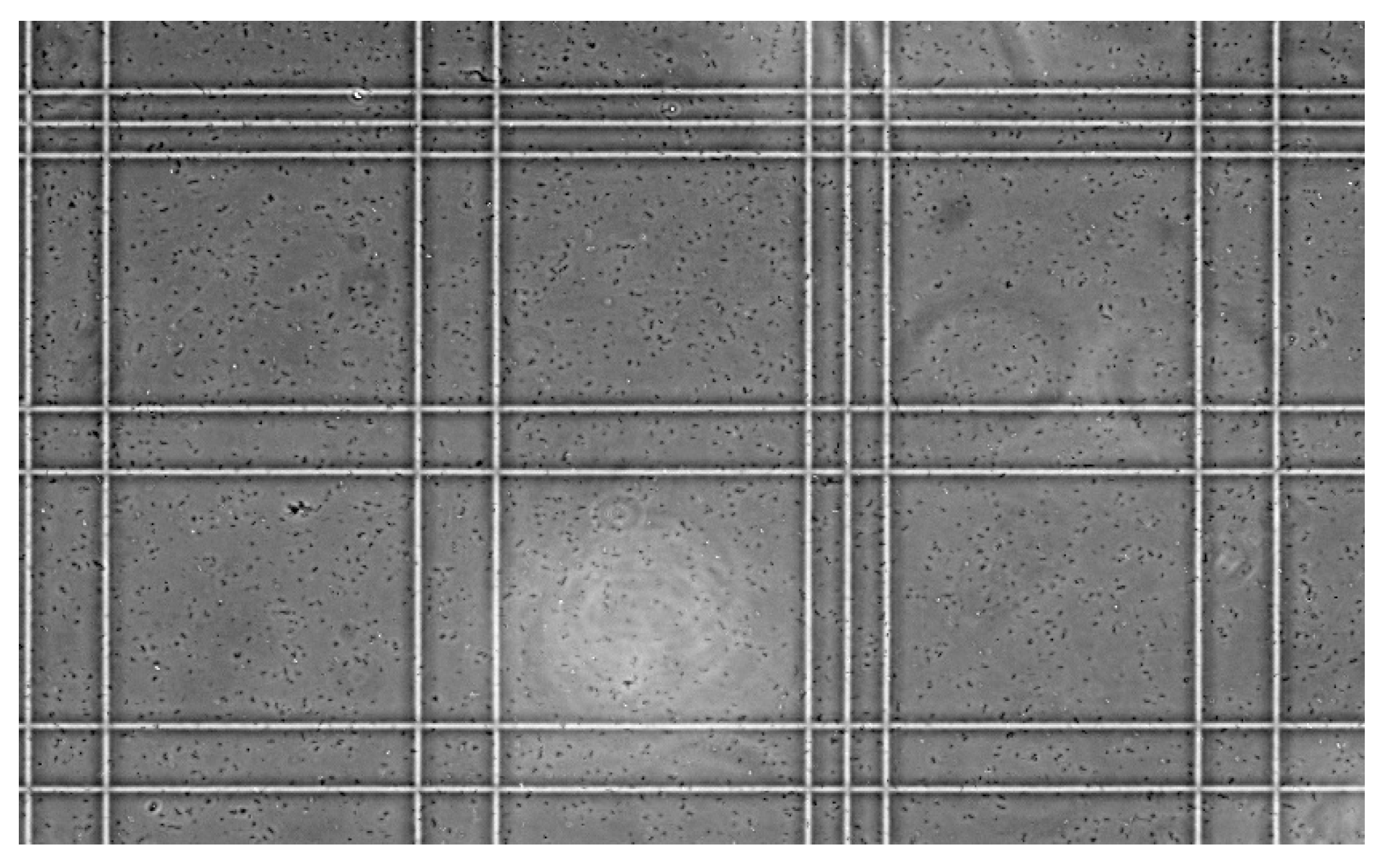 Sensors 18 02210 g006 Sensors 18 02210 g006