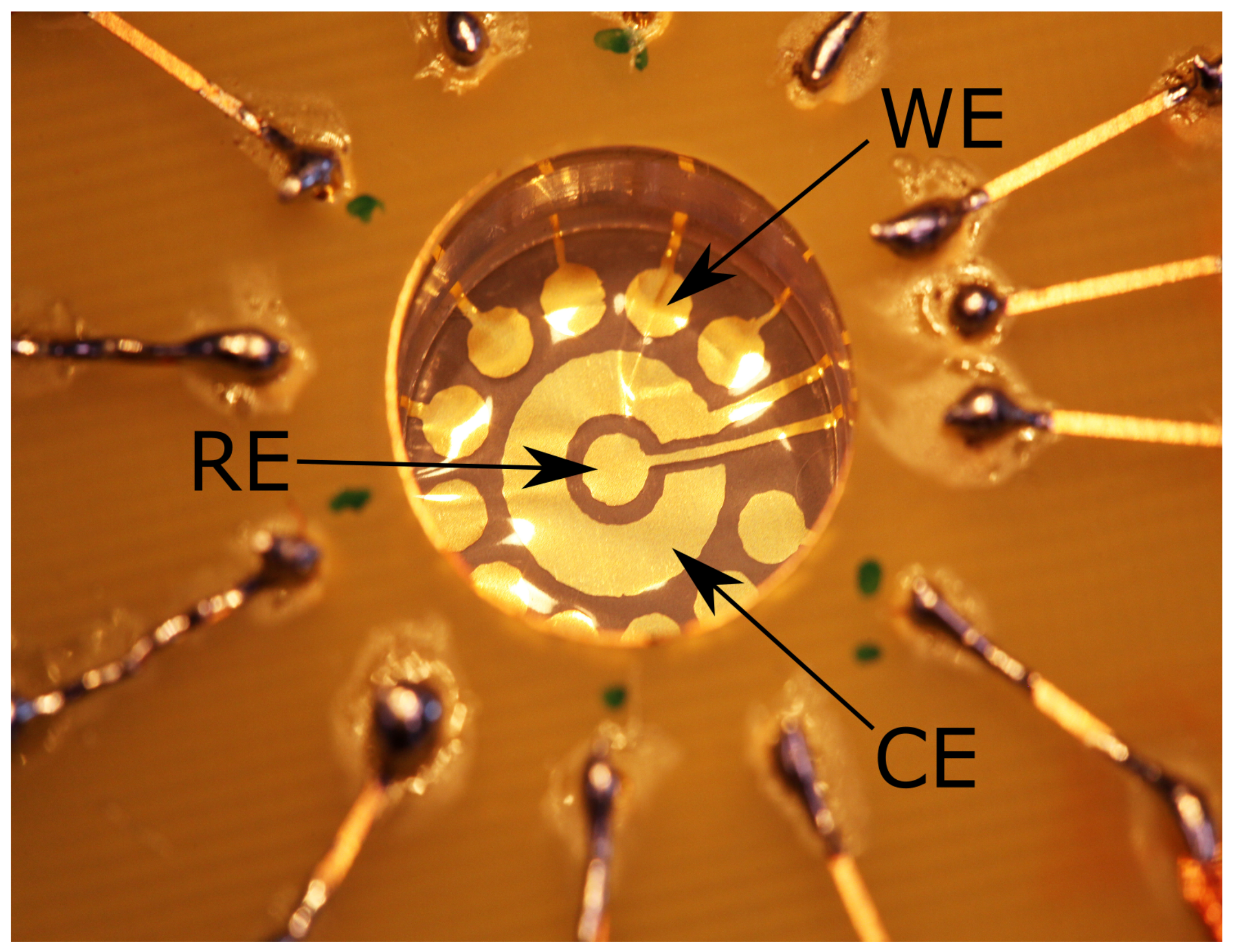 Sensors 18 02214 g001