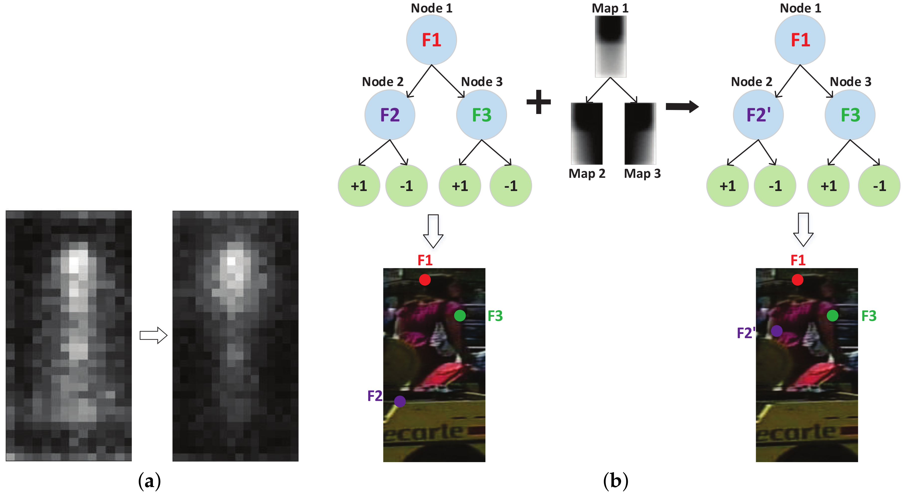 Sensors 18 02272 g006