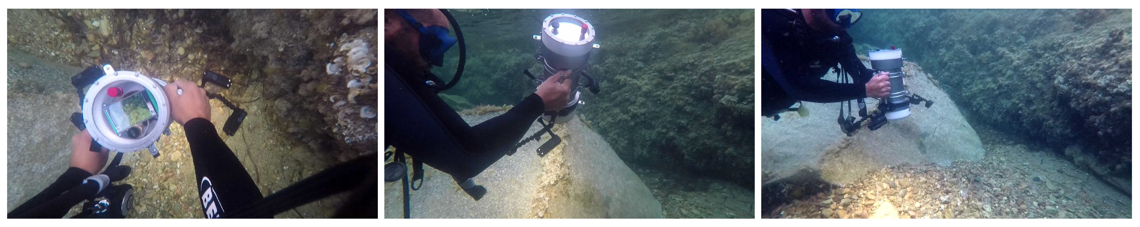 Sensors 18 02313 g005