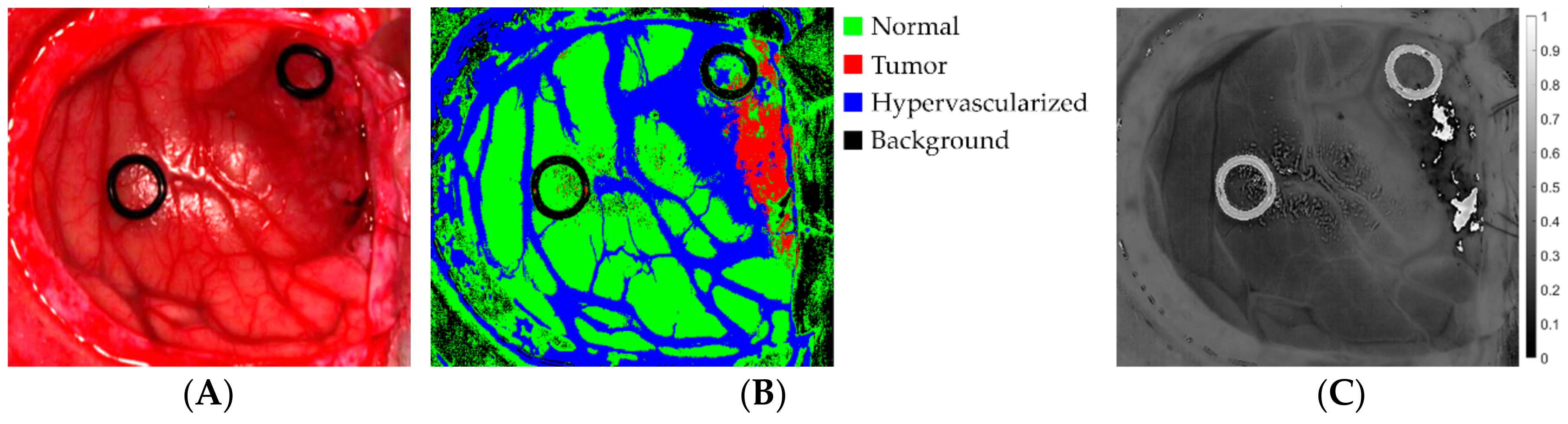 Sensors 18 02314 g002