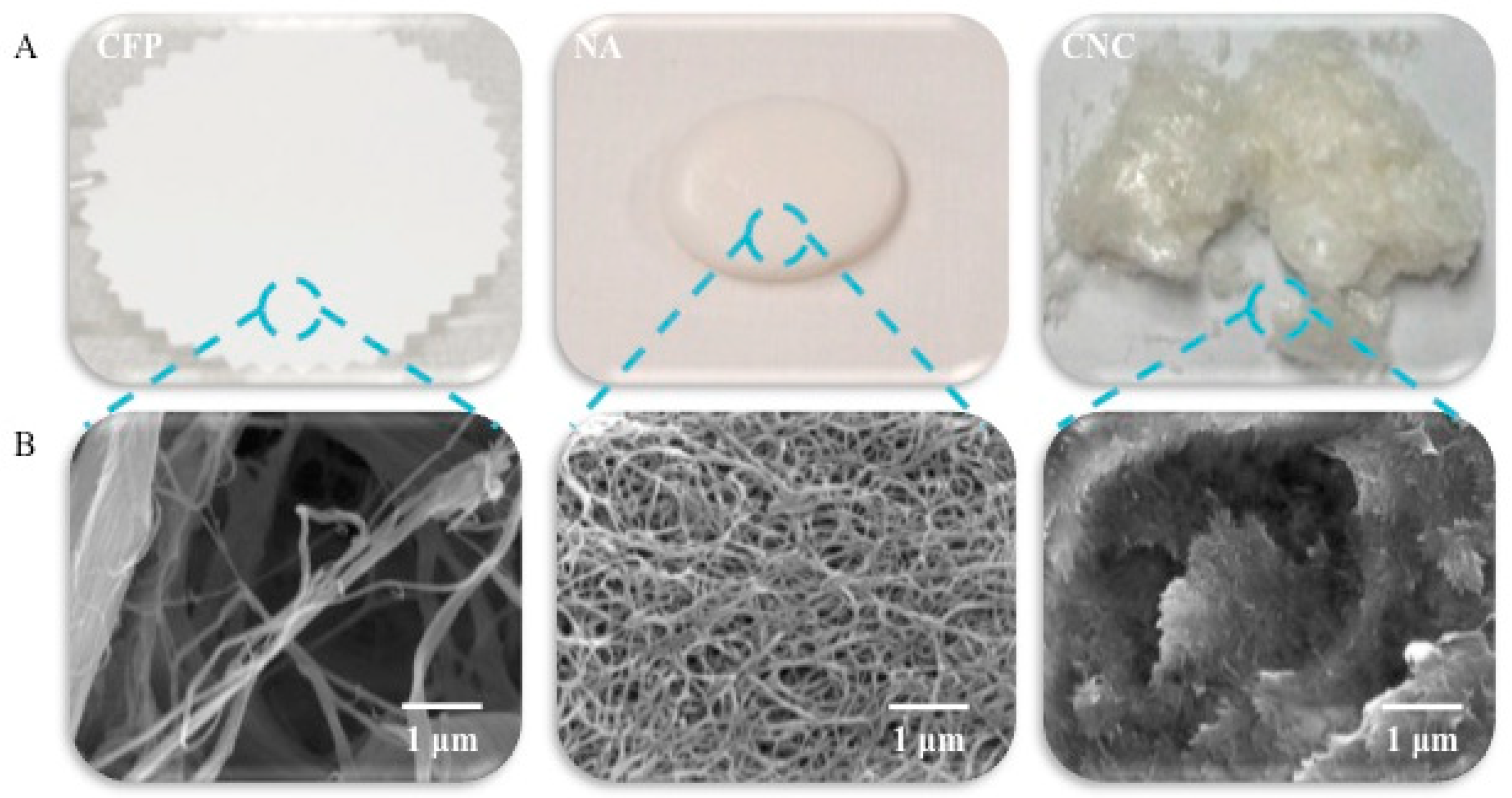Sensors 18 02334 g001