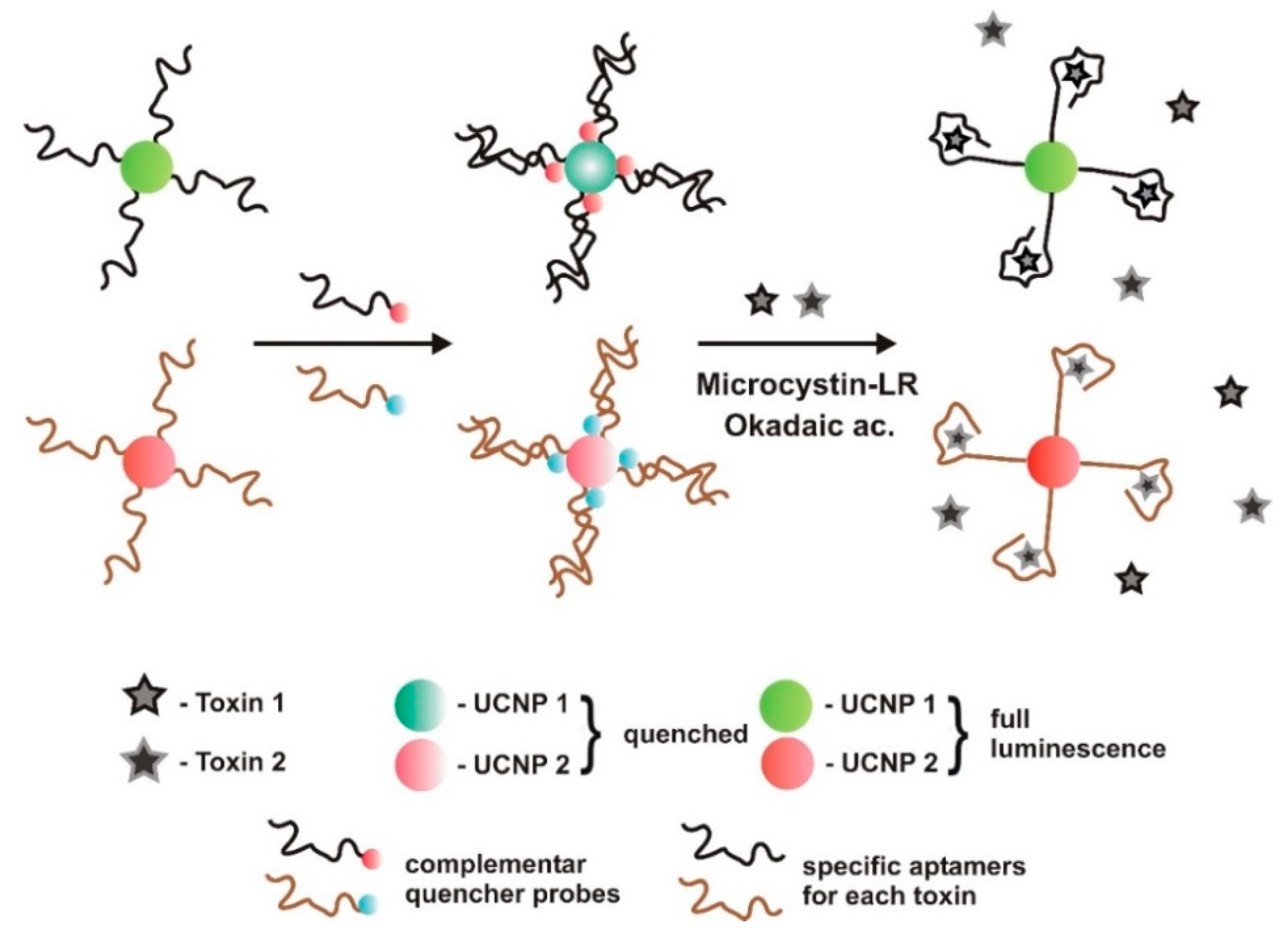 Sensors 18 02367 g004 Sensors 18 02367 g004