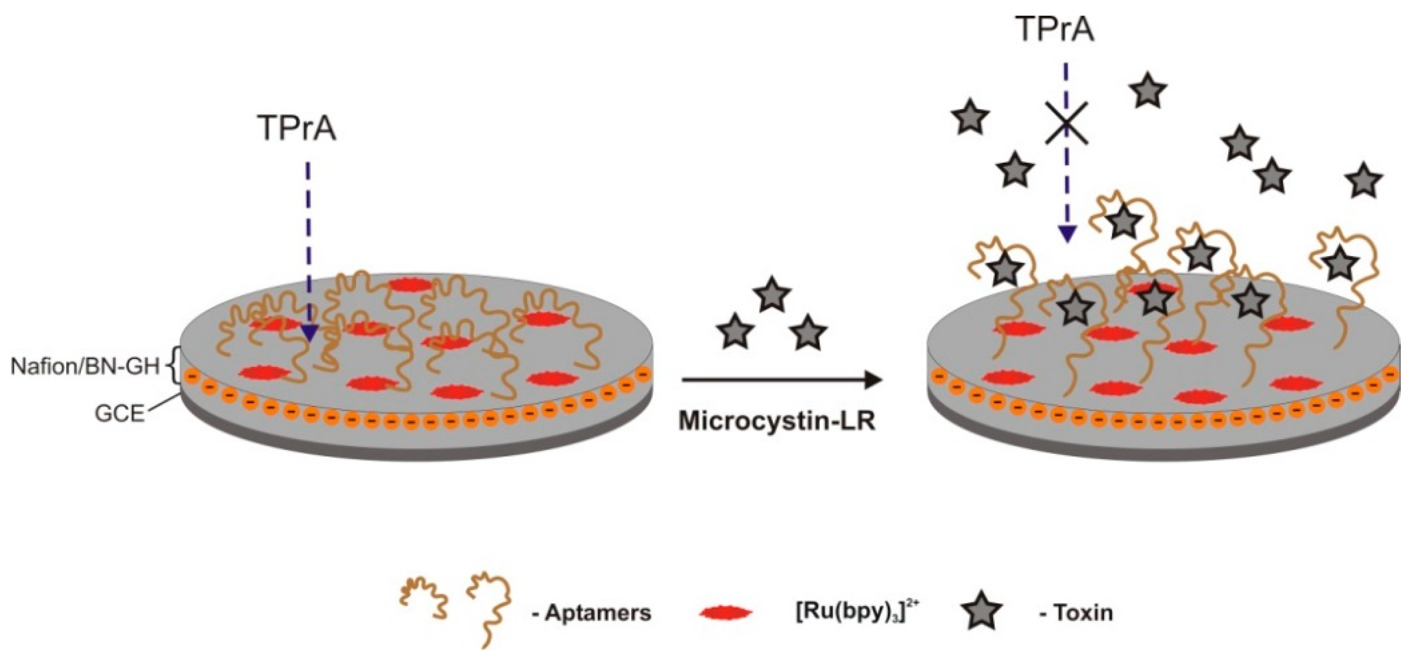 Sensors 18 02367 g005 Sensors 18 02367 g005
