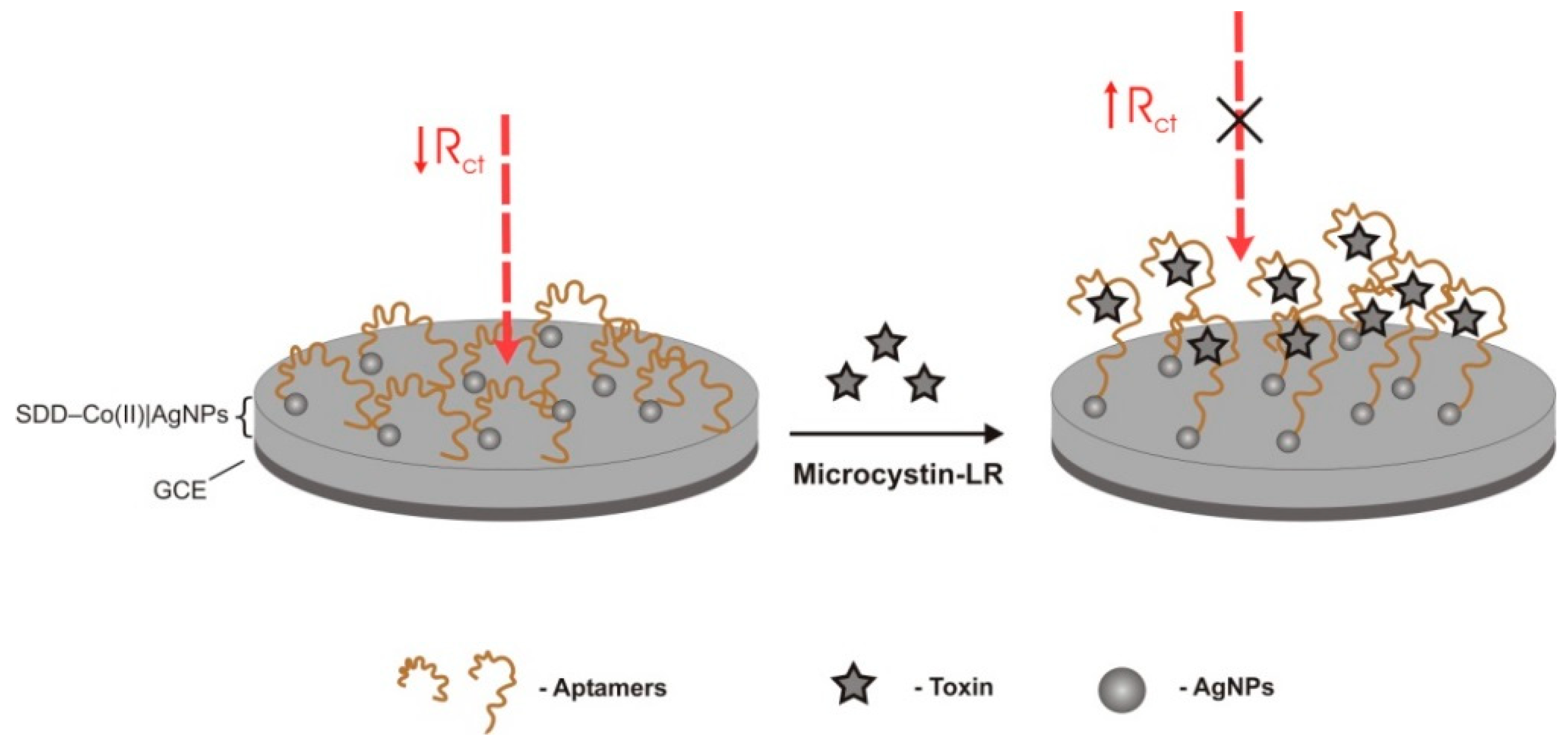 Sensors 18 02367 g006 Sensors 18 02367 g006