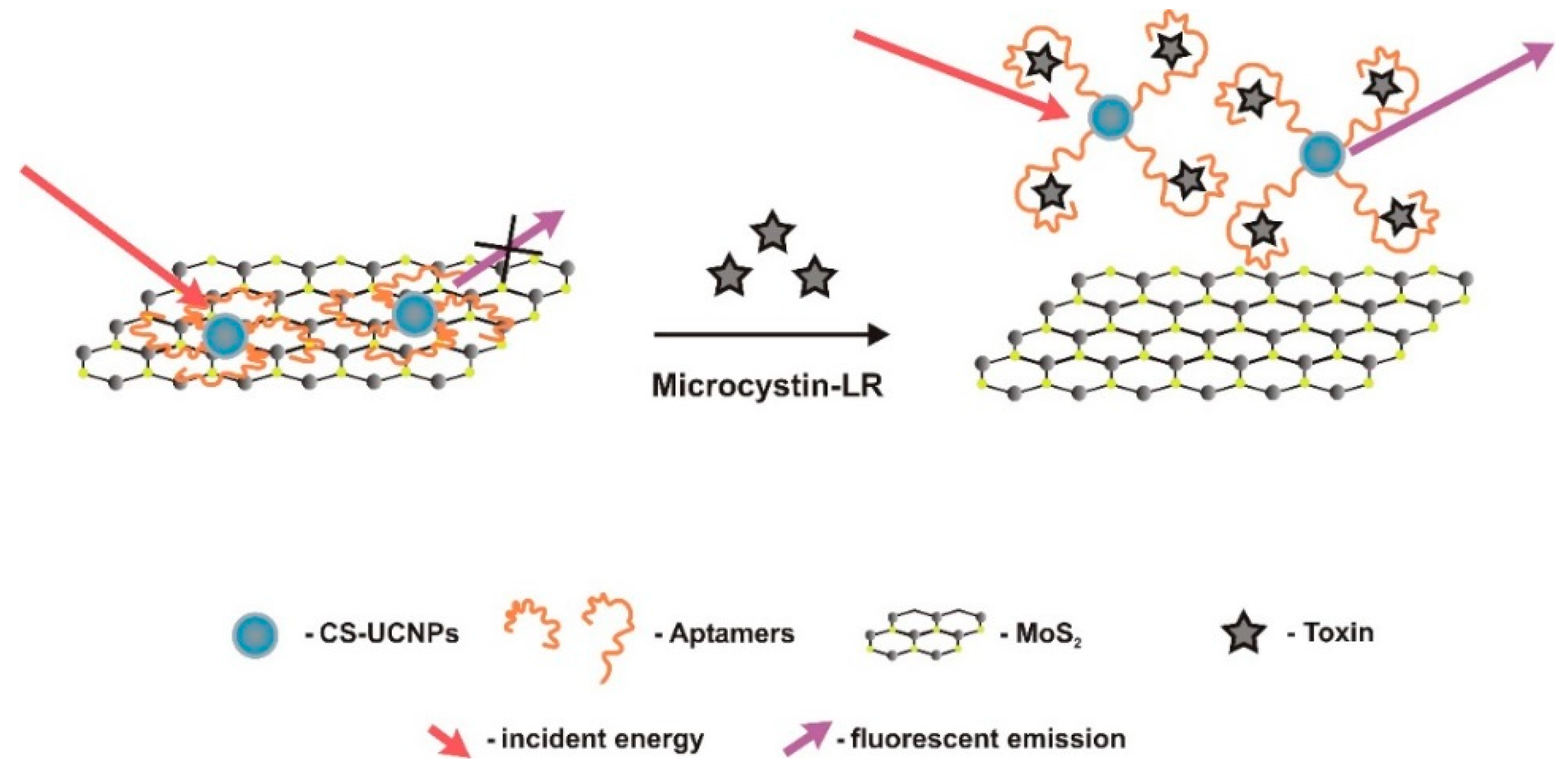 Sensors 18 02367 g009 Sensors 18 02367 g009