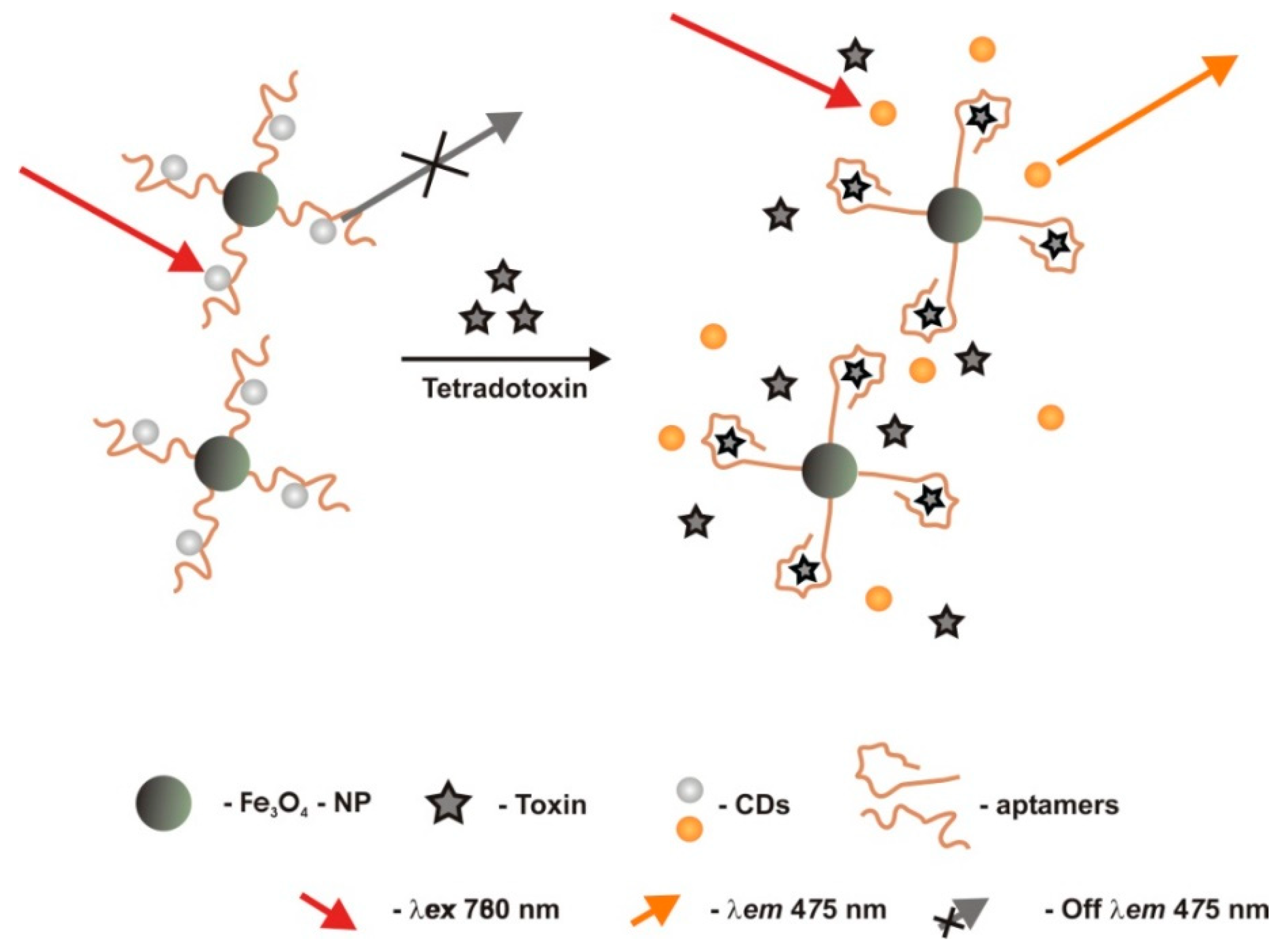 Sensors 18 02367 g014 Sensors 18 02367 g014