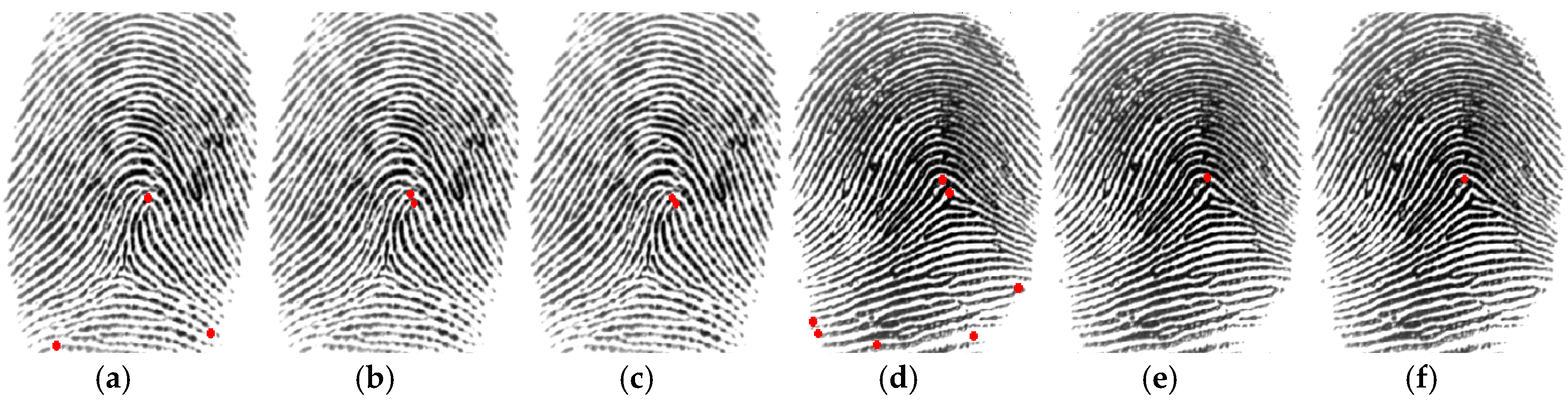 Sensors 18 02429 g005