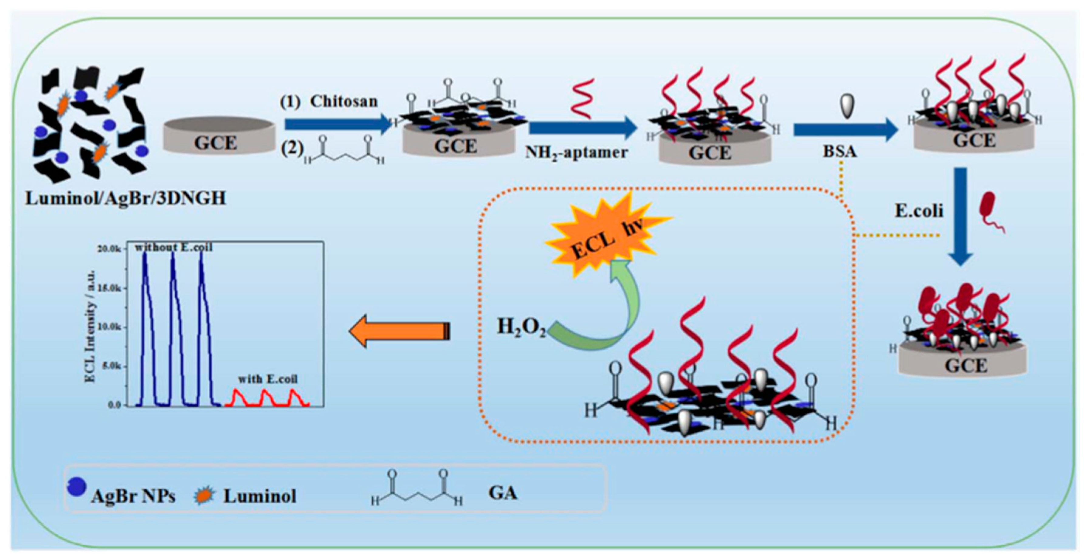 Sensors 18 02518 g005 Sensors 18 02518 g005