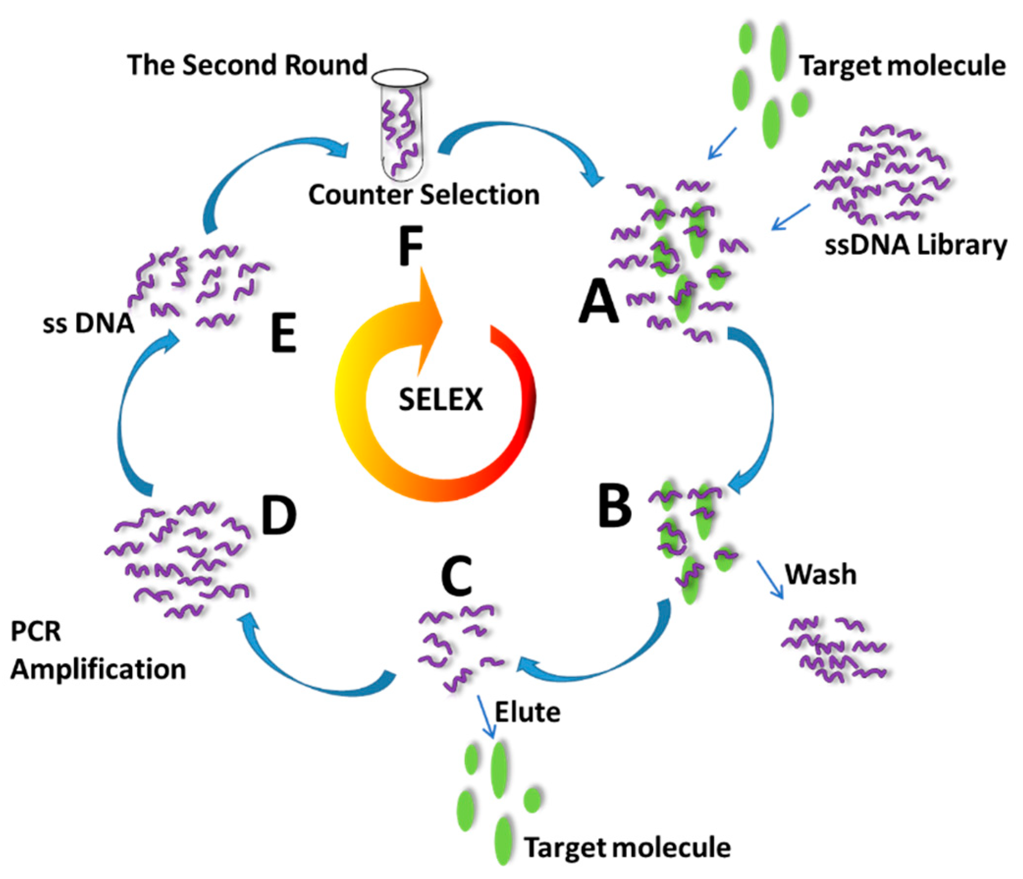 Sensors 18 02518 sch001 Sensors 18 02518 sch001