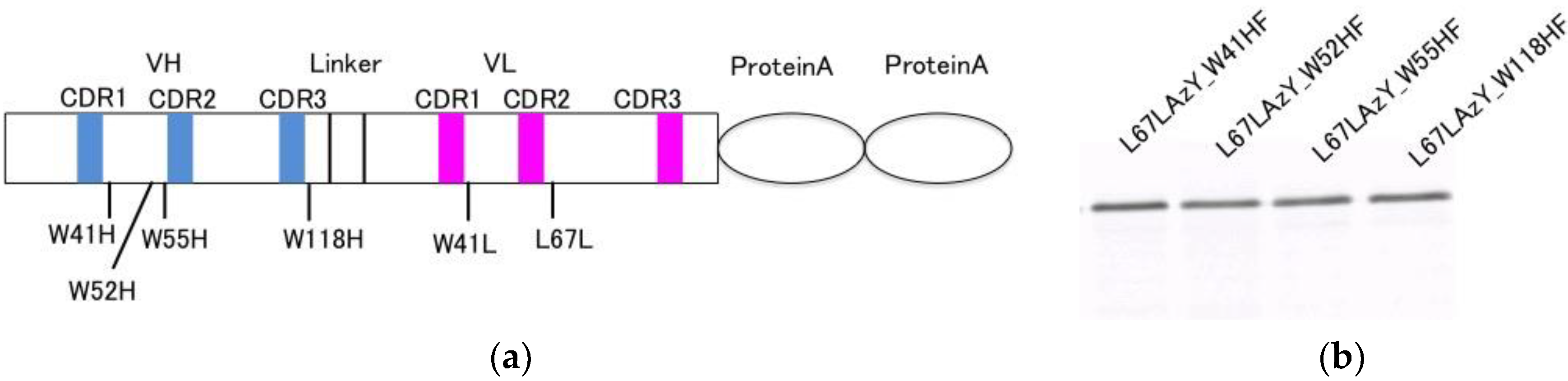 Sensors 18 02519 g004 Sensors 18 02519 g004