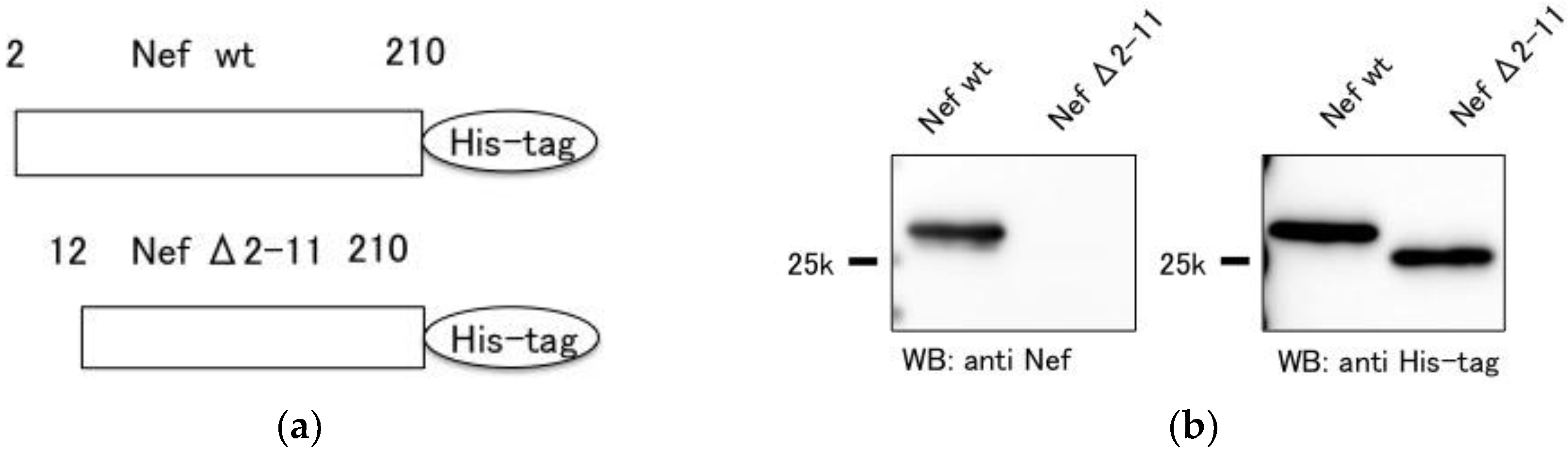 Sensors Free Full Text Development Of A Novel Q Body Using An In