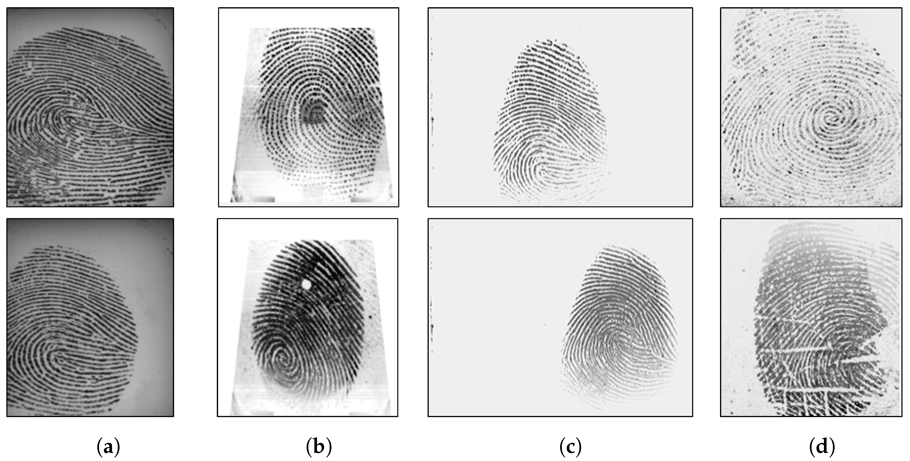 digitalpersona fingerprint software 6.1 digitalpersona fingerprint software 6.1