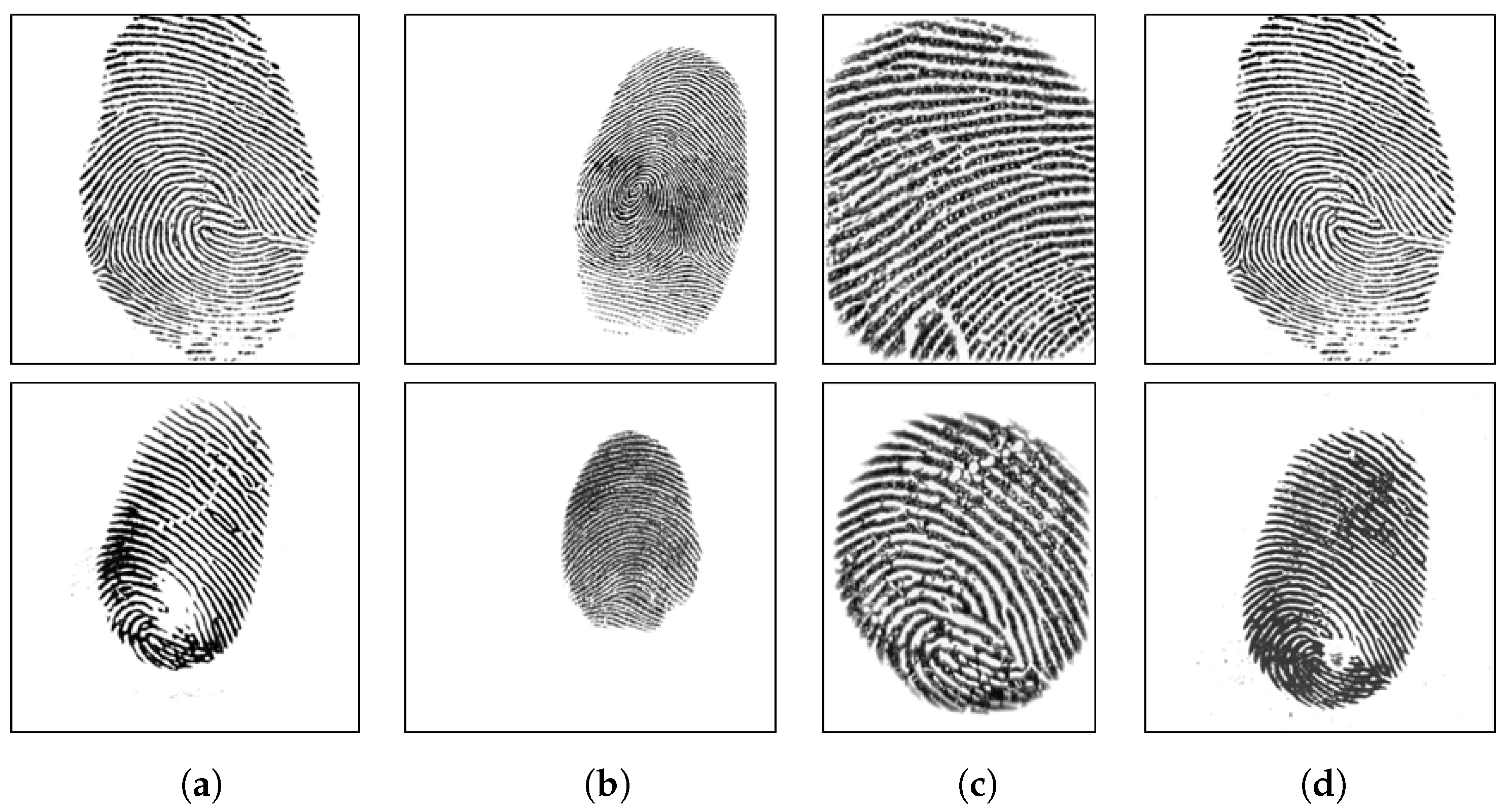 digitalpersona fingerprint software 5.2