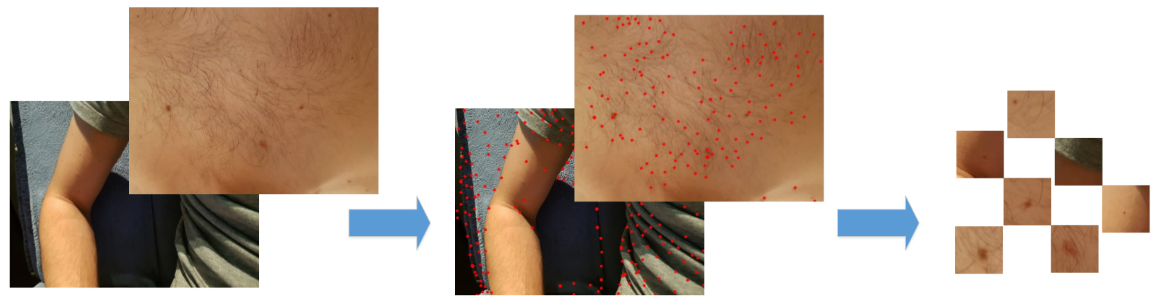 Sensors 18 02552 g007