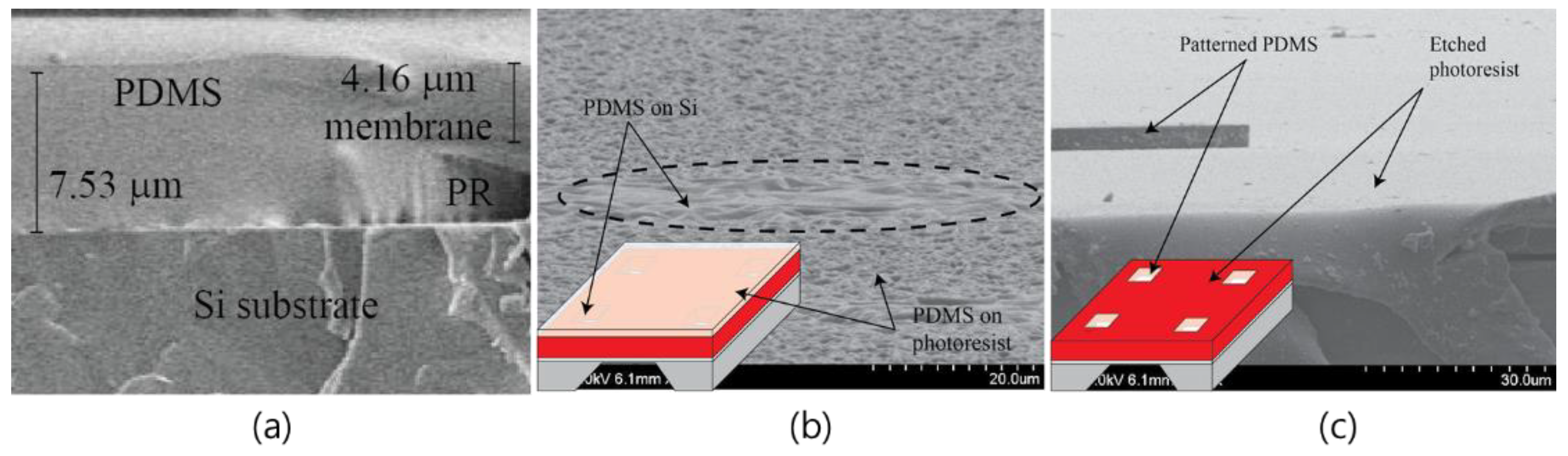 Sensors 18 02572 g003