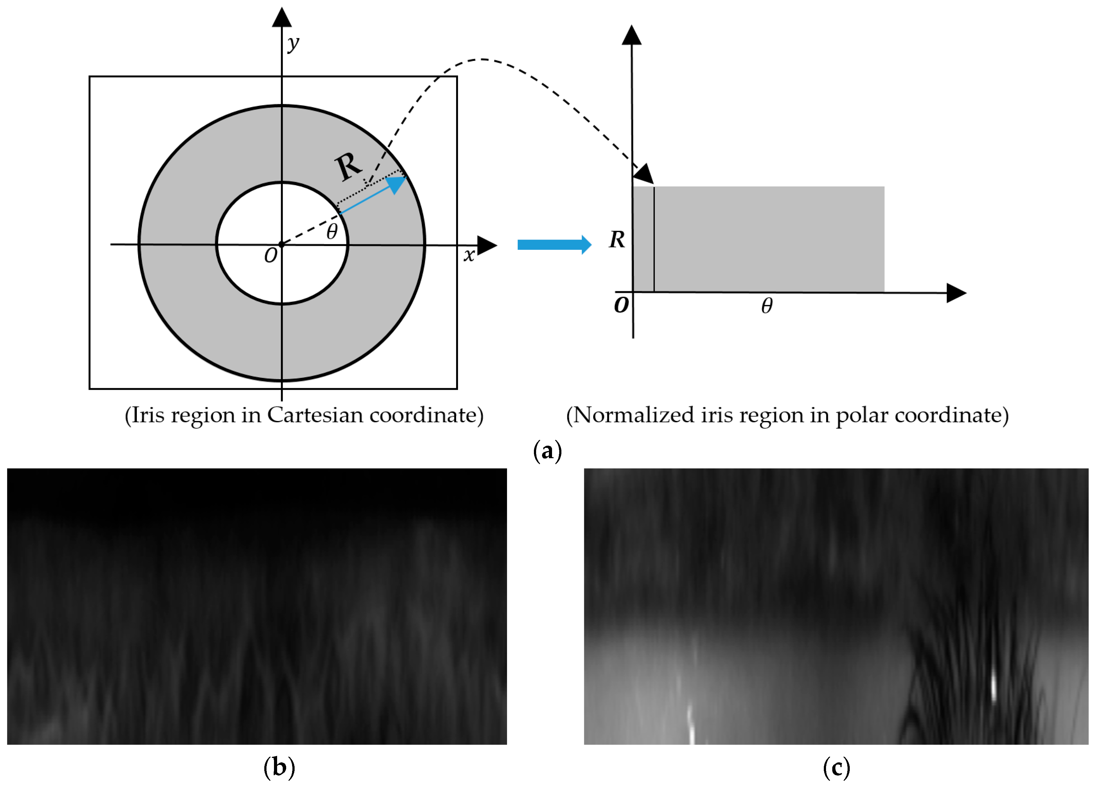 Sensors 18 02601 g004