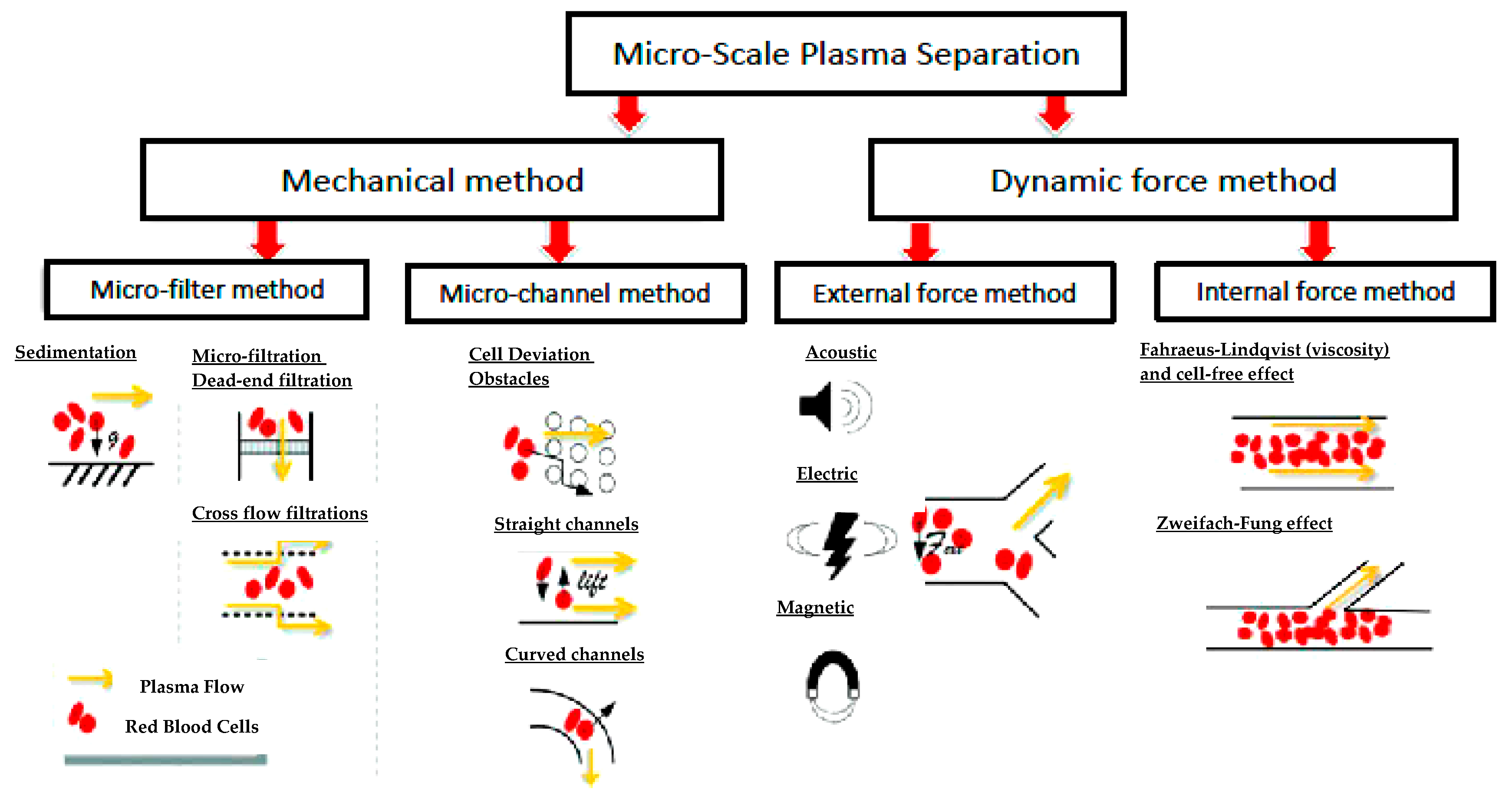 Sensors 18 02625 g002 Sensors 18 02625 g002