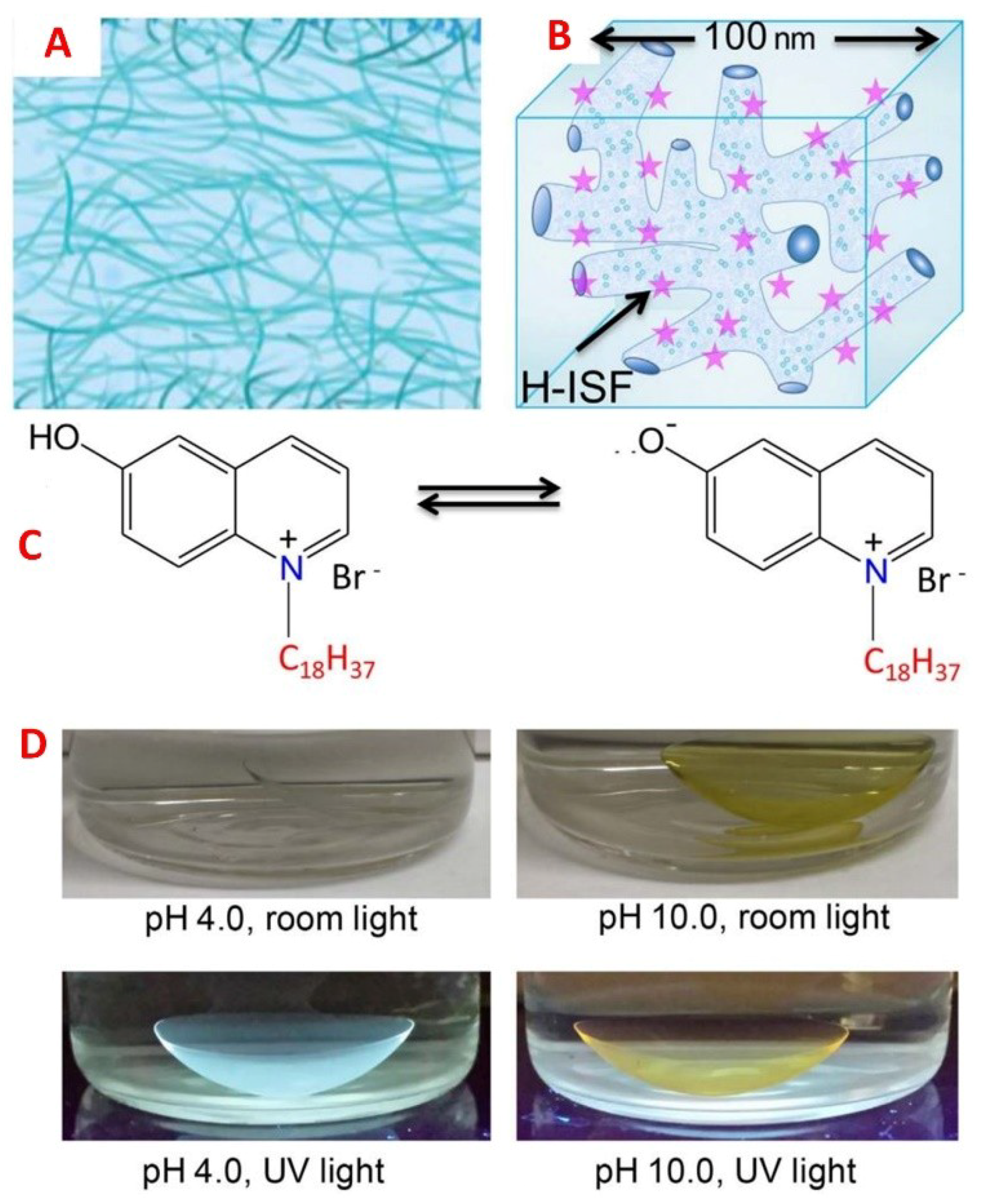 Sensors 18 02651 g005