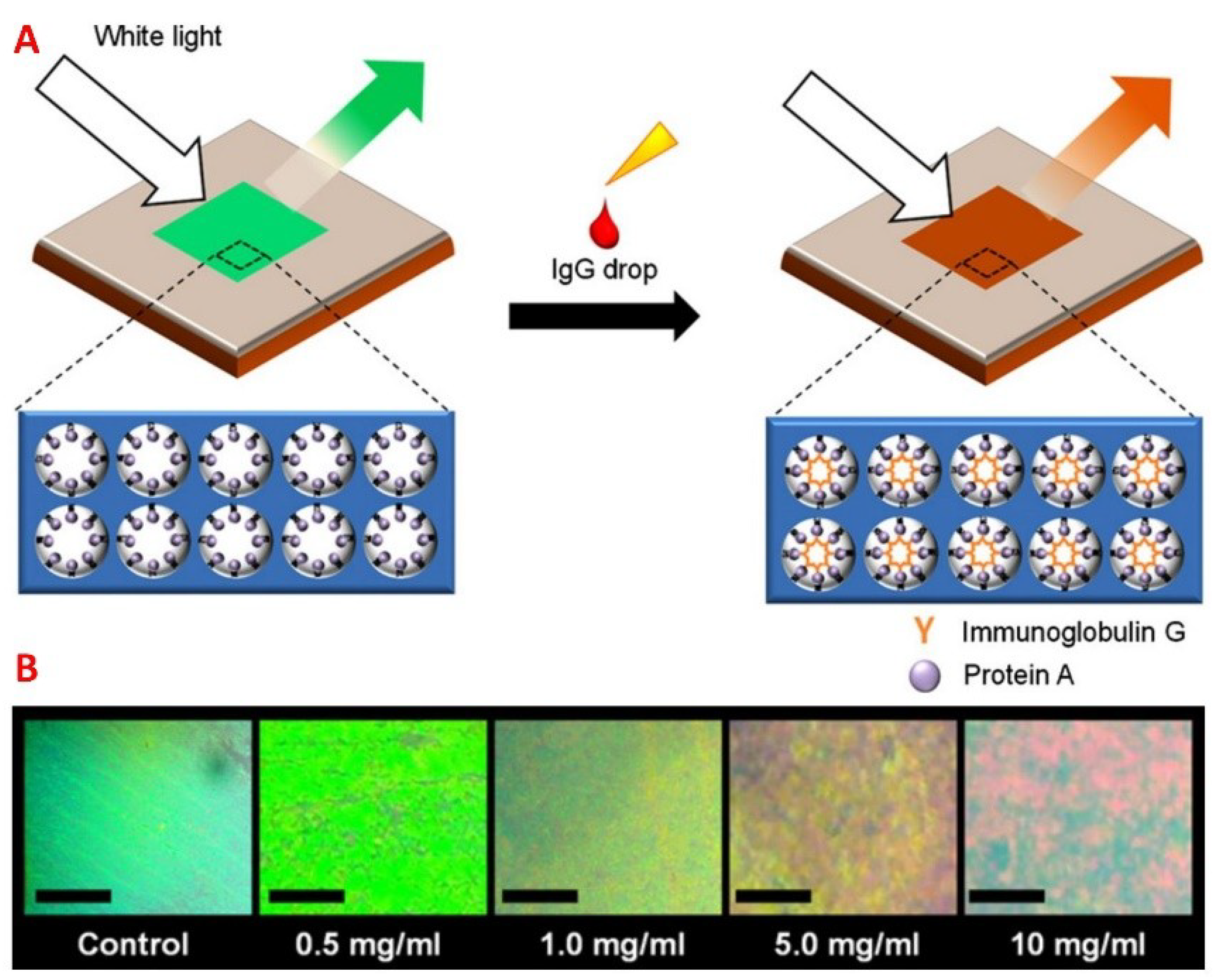 Sensors 18 02651 g008