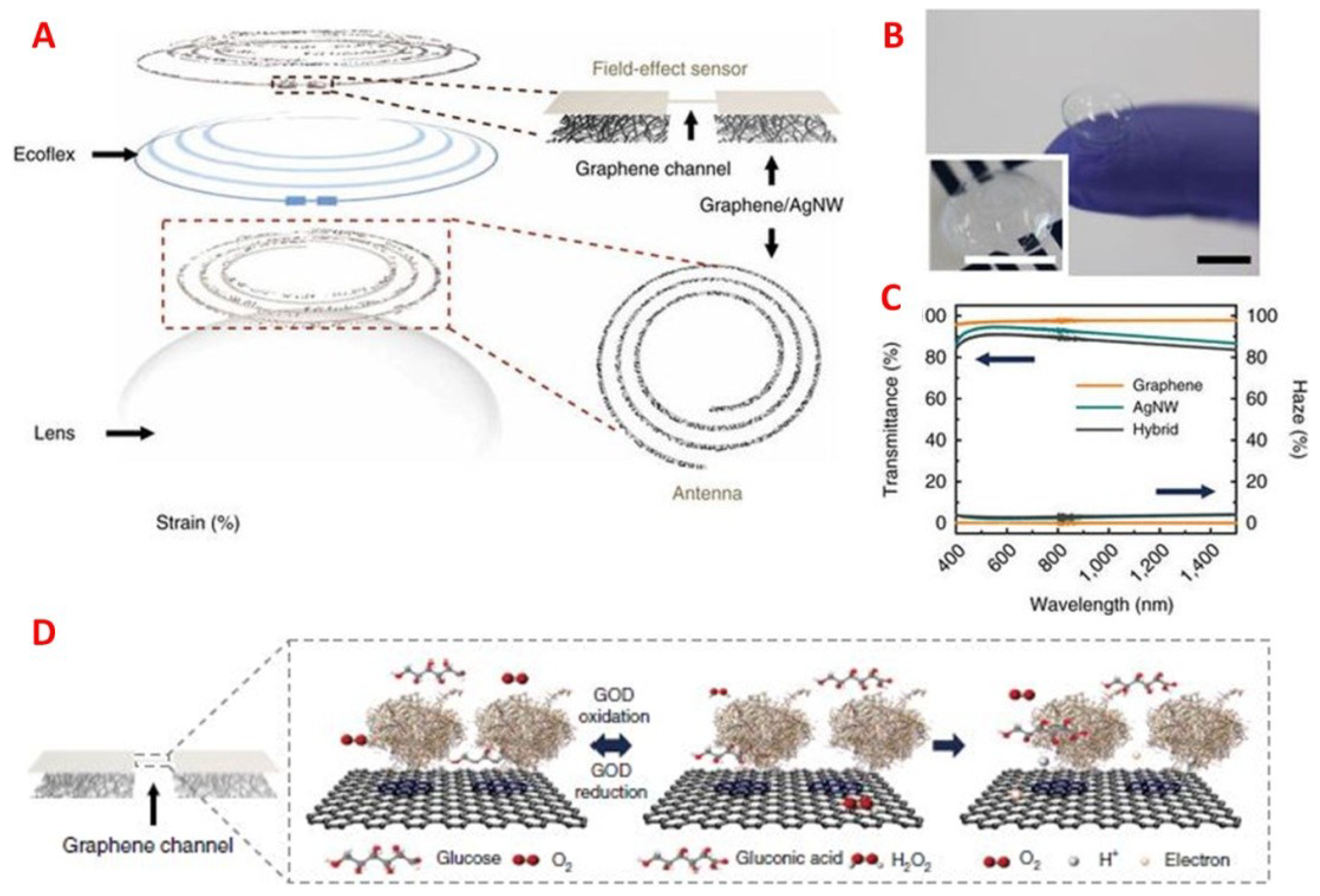 Sensors 18 02651 g010