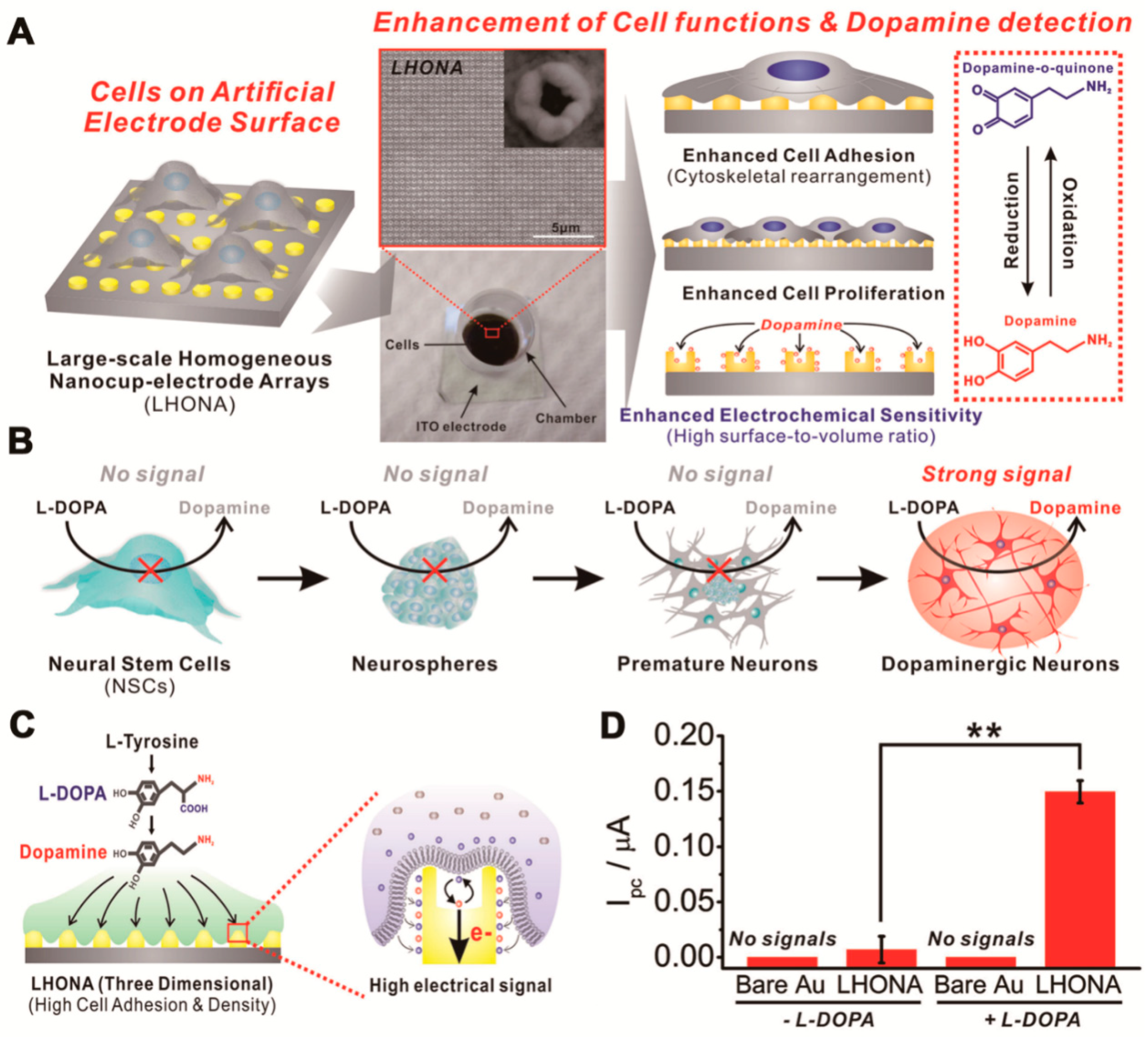 Sensors 18 02755 g003