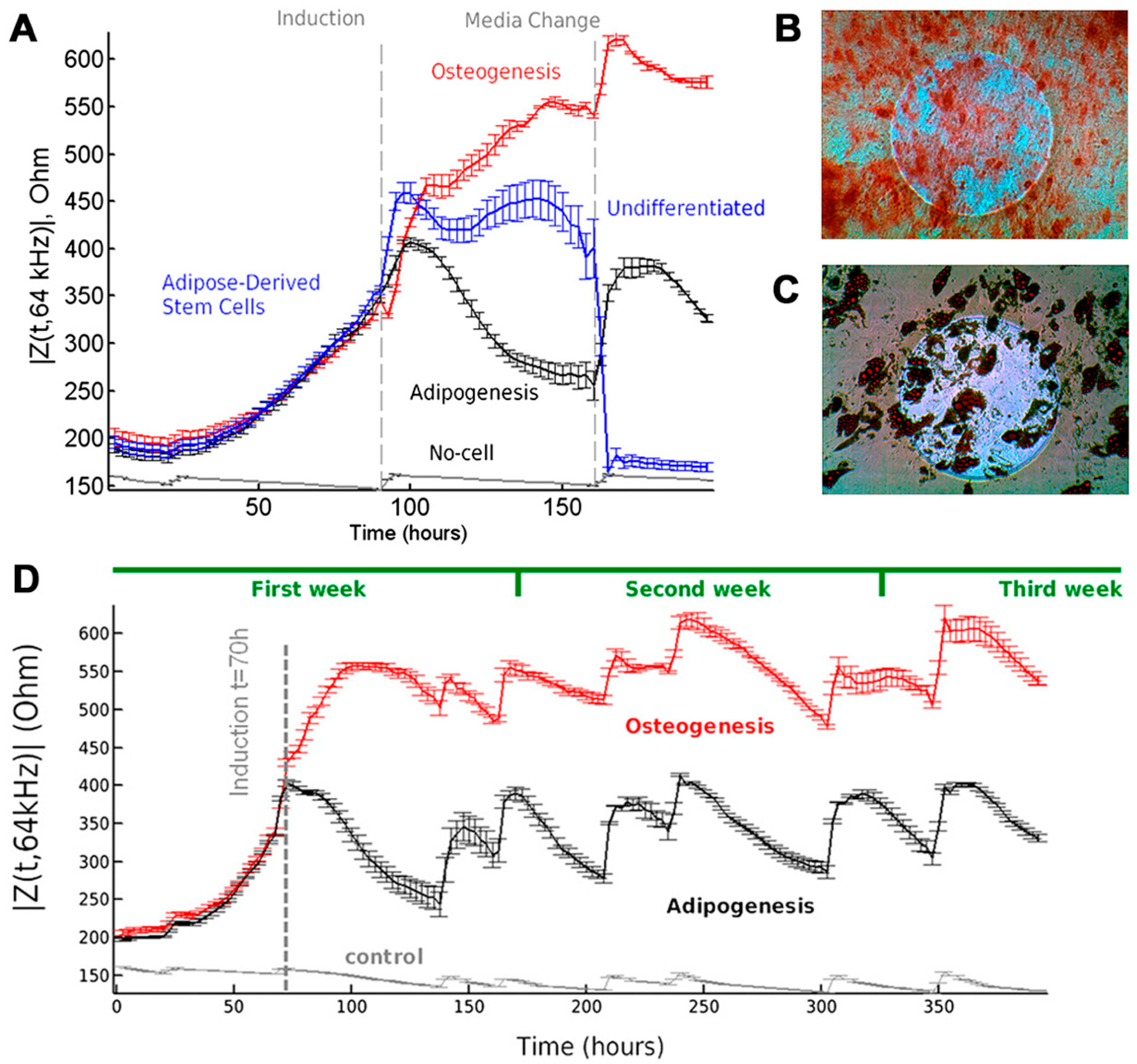 Sensors 18 02755 g004
