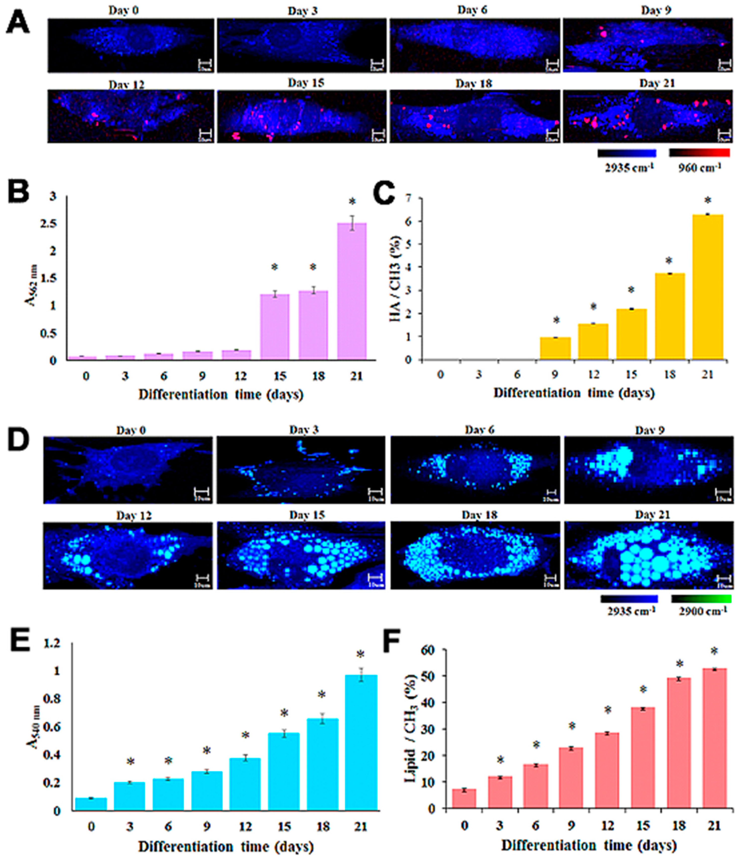 Sensors 18 02755 g005