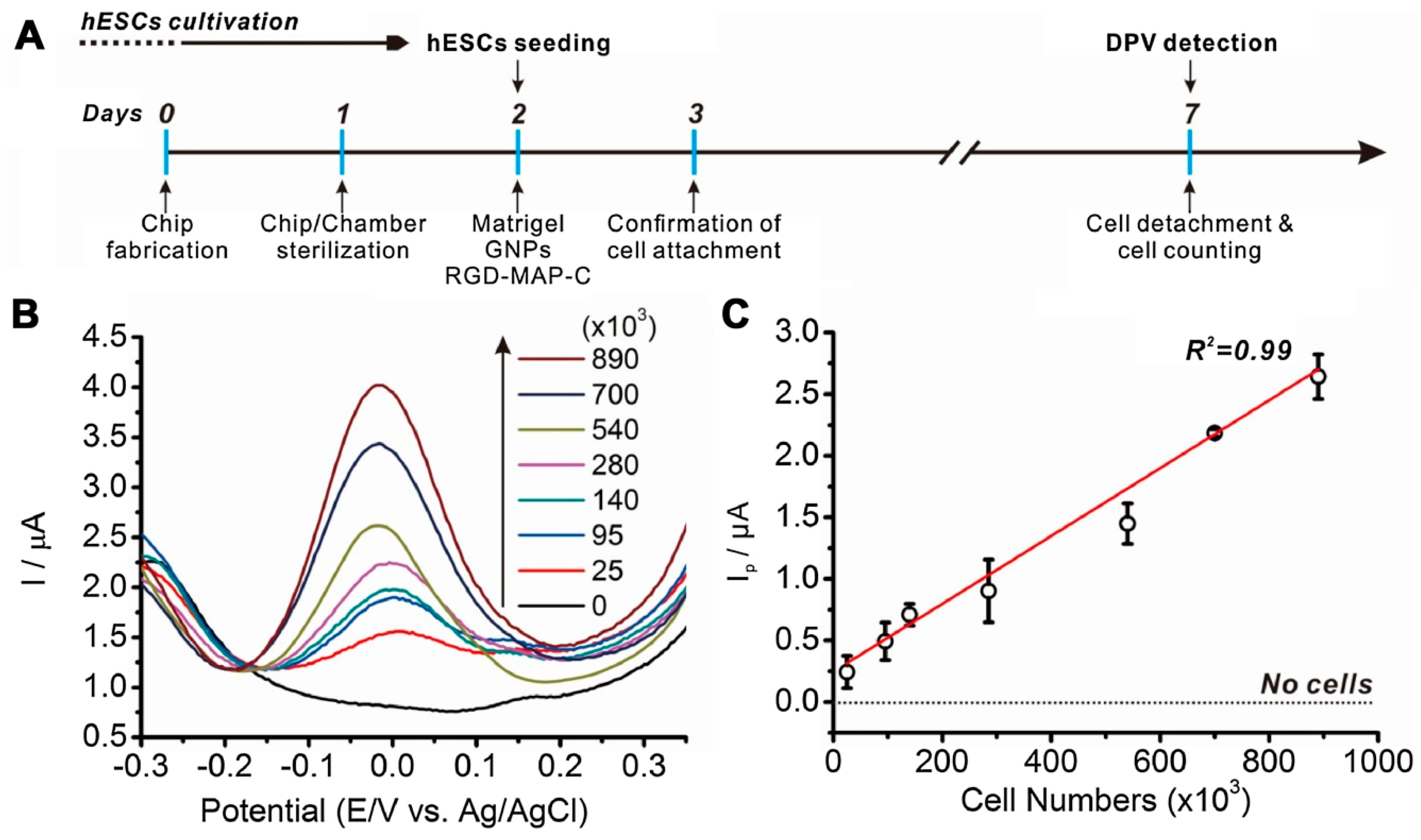 Sensors 18 02755 g007