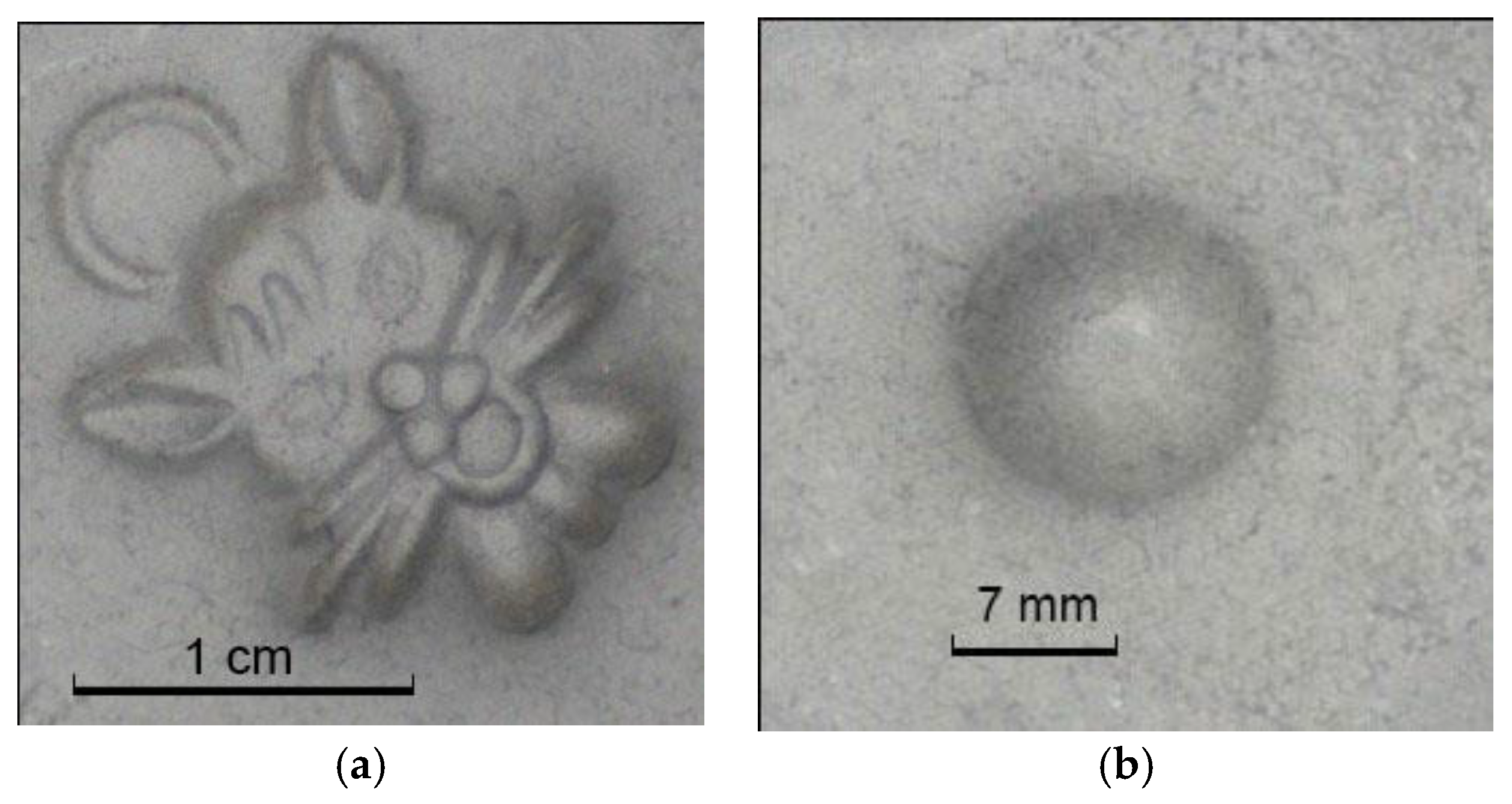 Sensors 18 02785 g003