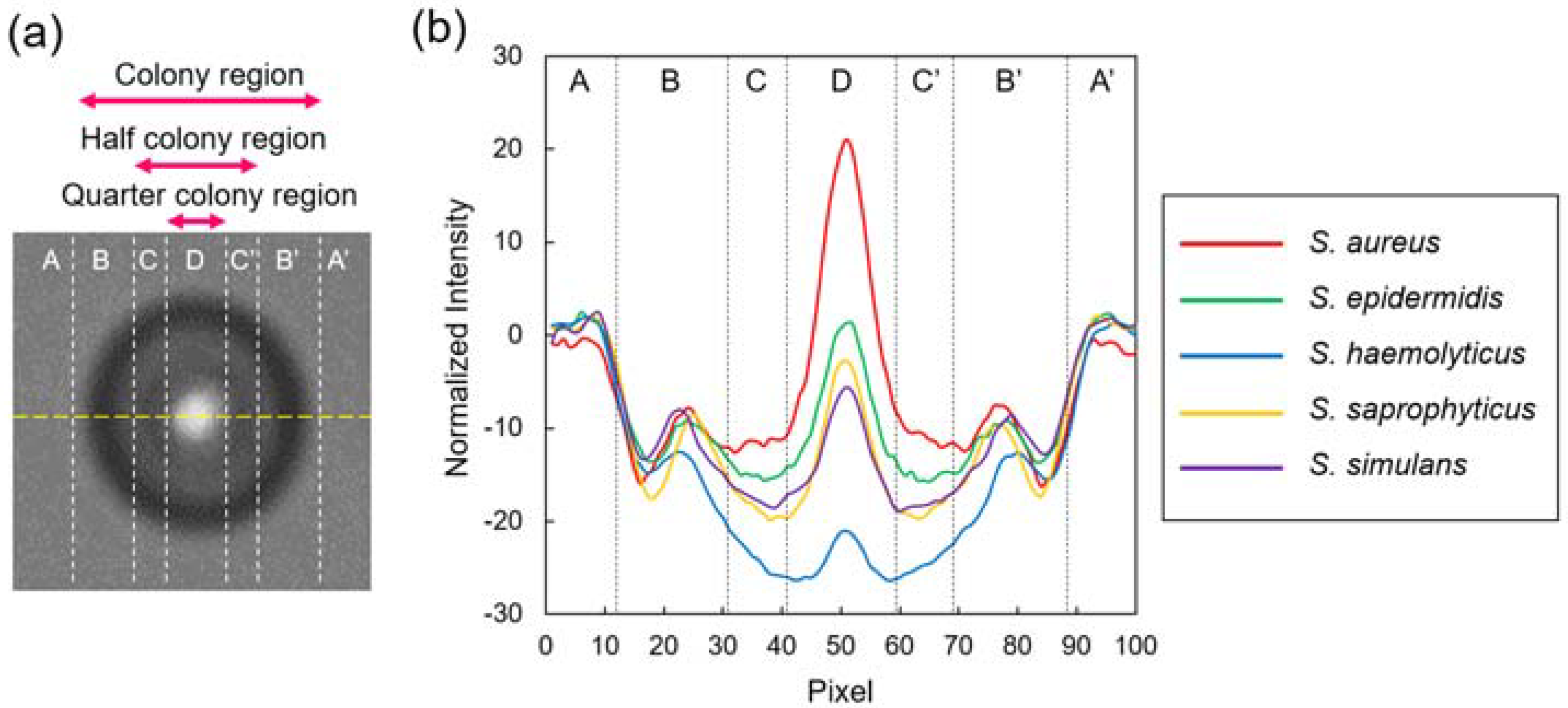 Sensors 18 02789 g002 Sensors 18 02789 g002