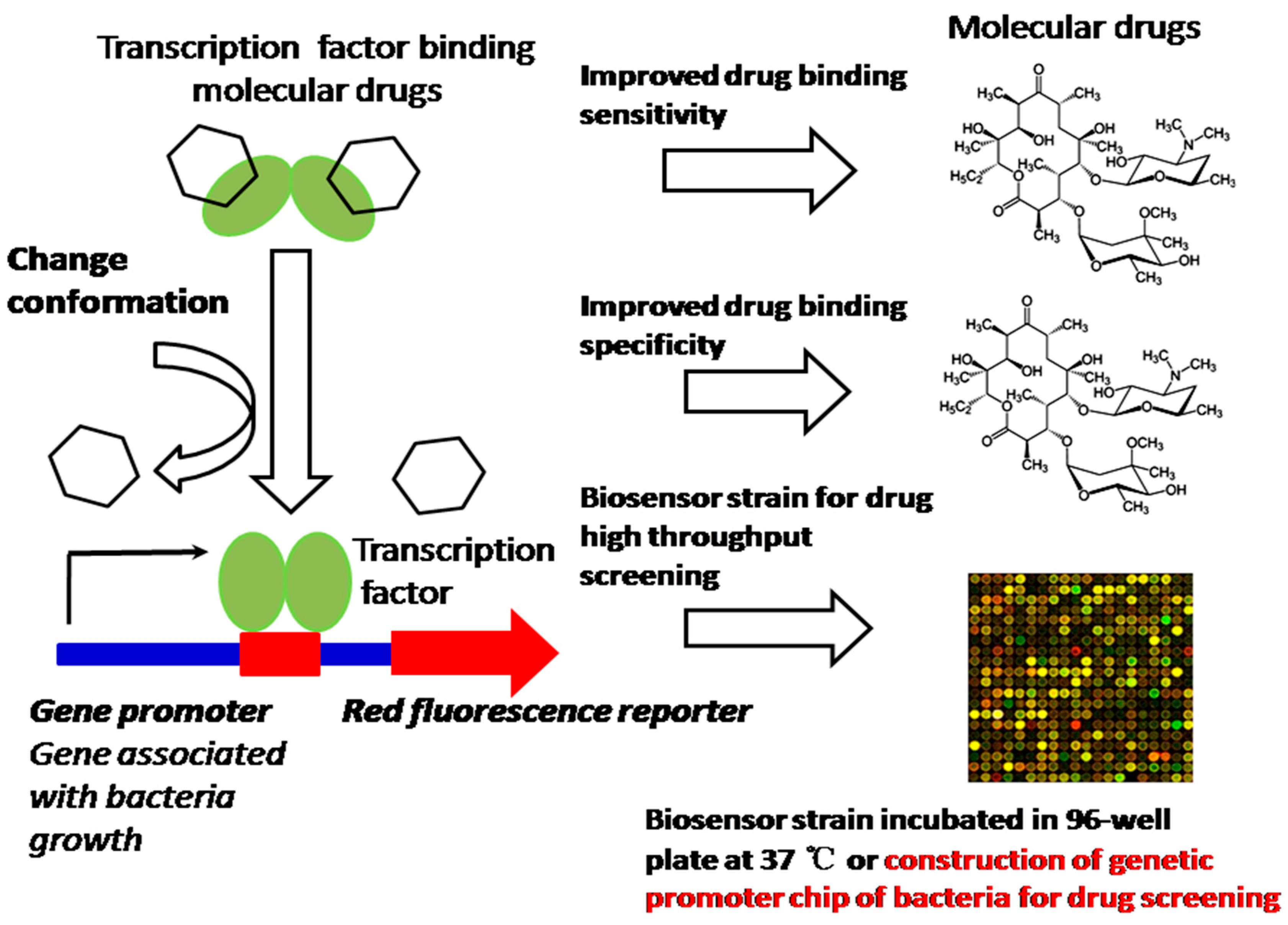 Sensors 18 02823 g003