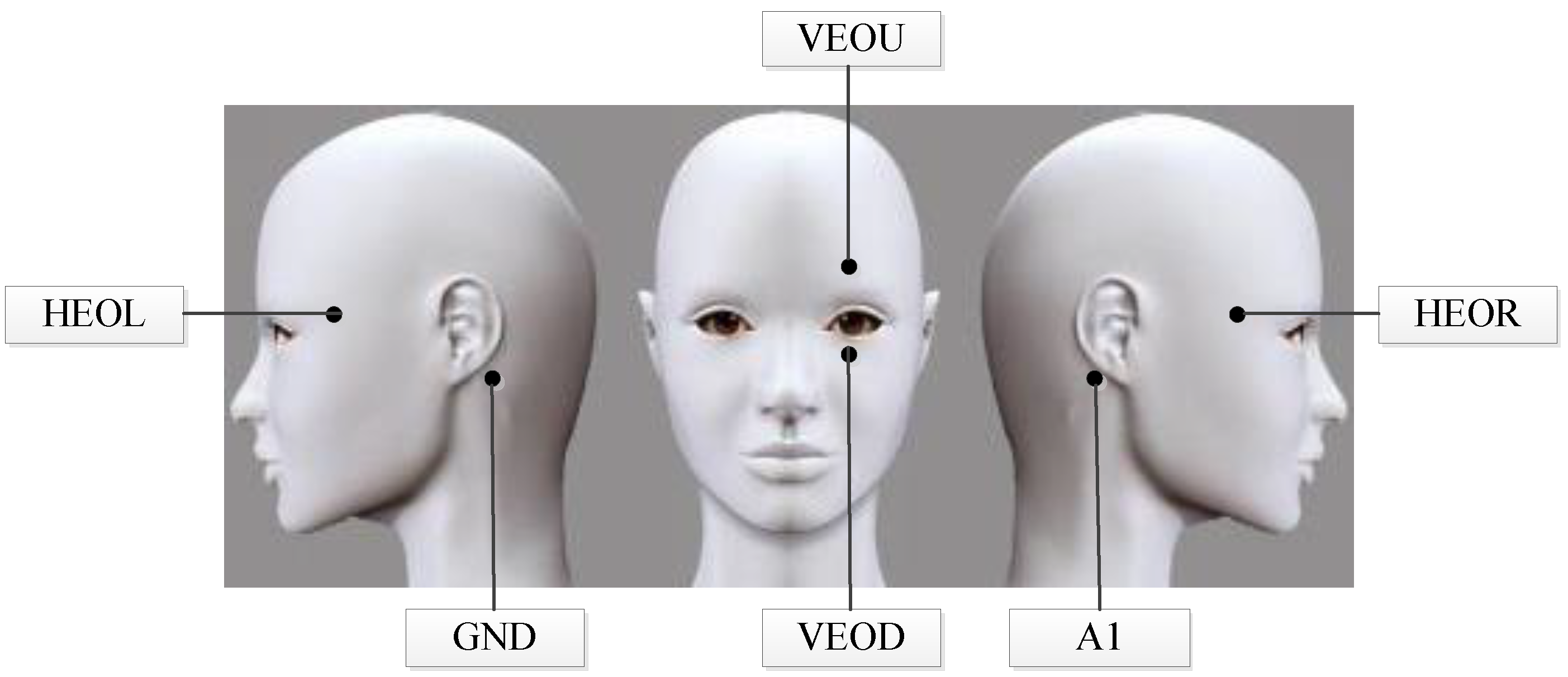 Sensors 18 02826 g003 Sensors 18 02826 g003