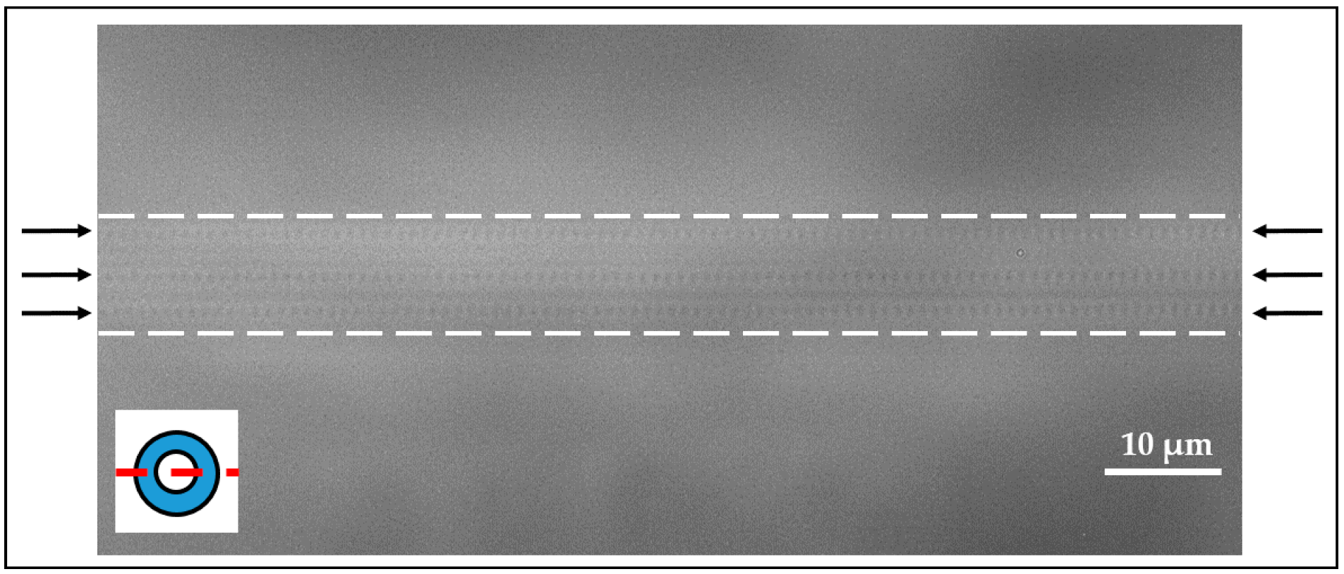 Sensors 18 02844 g005
