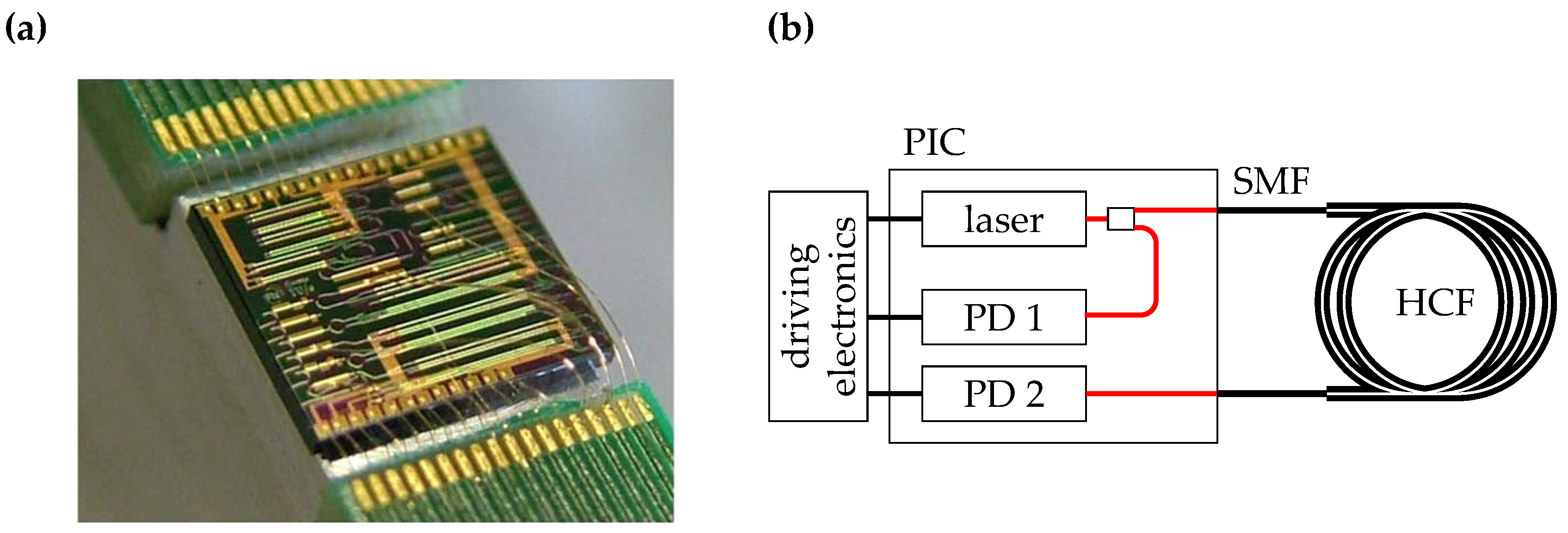 Sensors Free FullText Feasibility of Photonic