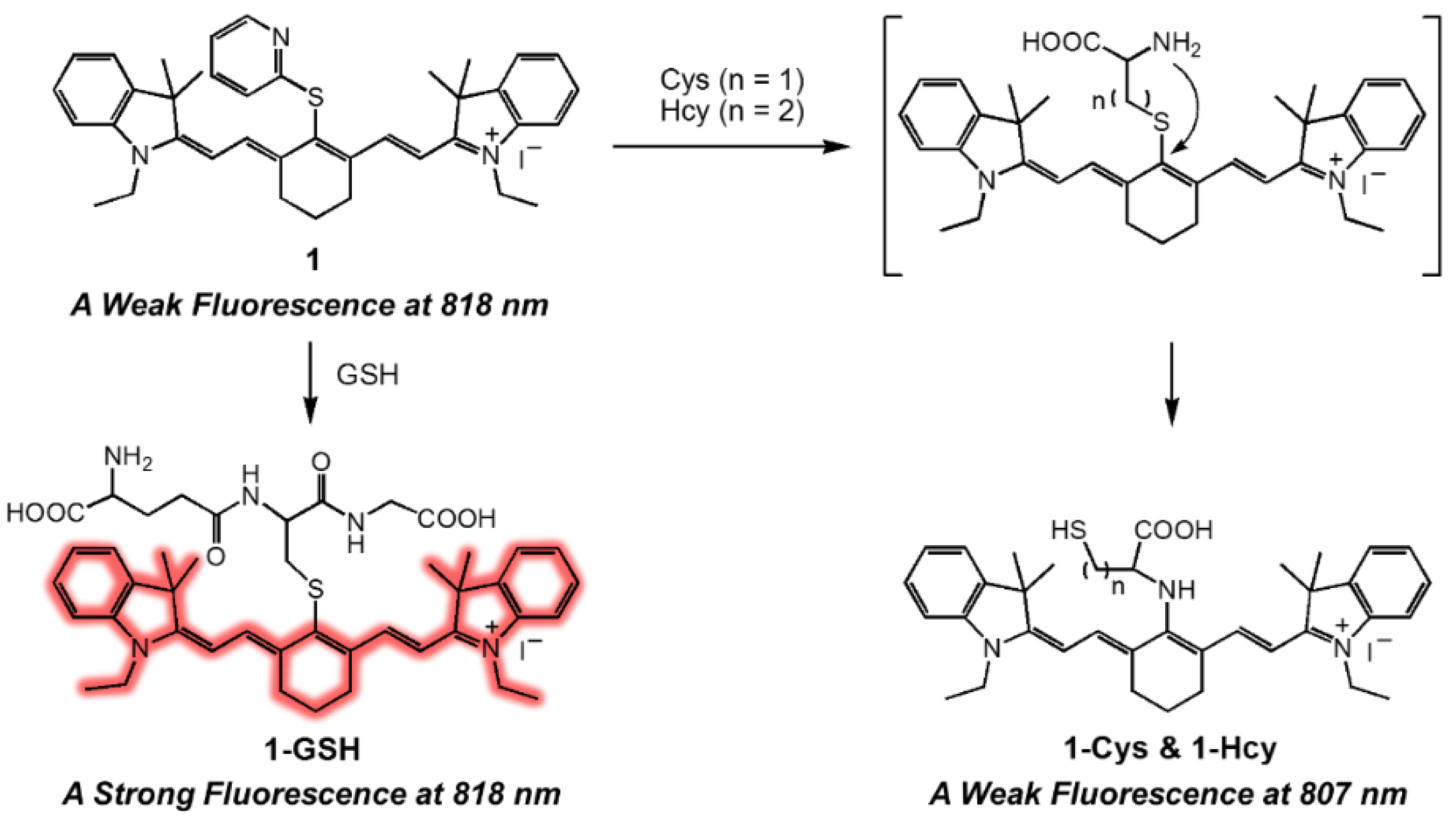 Sensors 18 02897 sch001