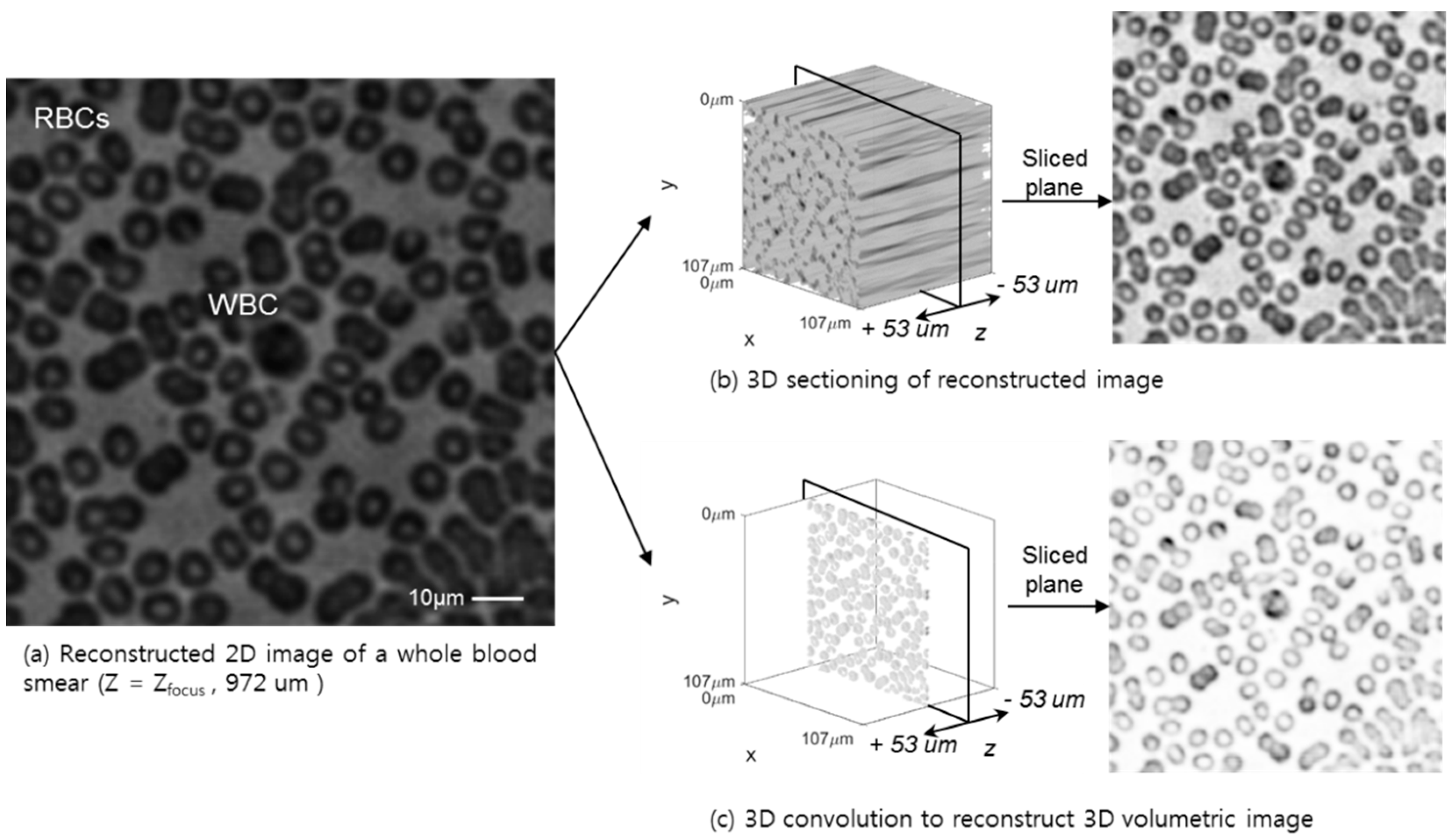 Sensors 18 02918 g006